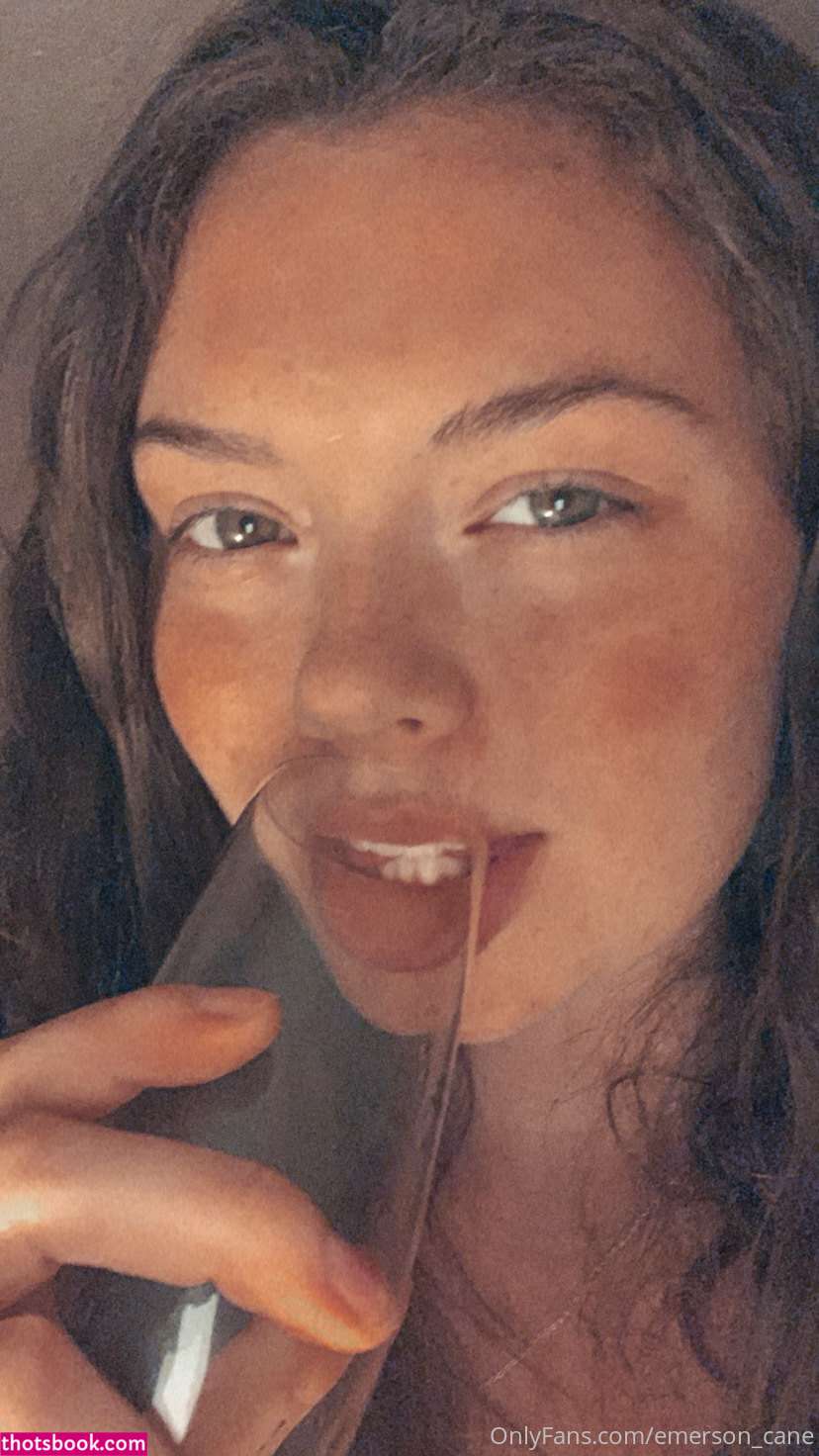 emersoncane Nude OnlyFans Photos #12 940880