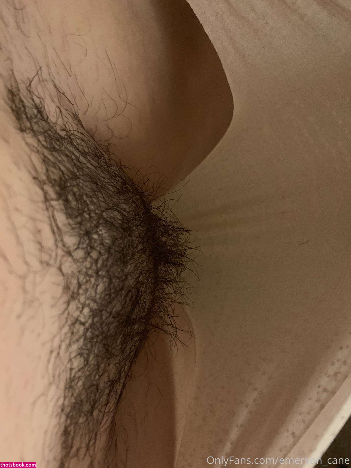 emersoncane Nude OnlyFans Photos #15 940947