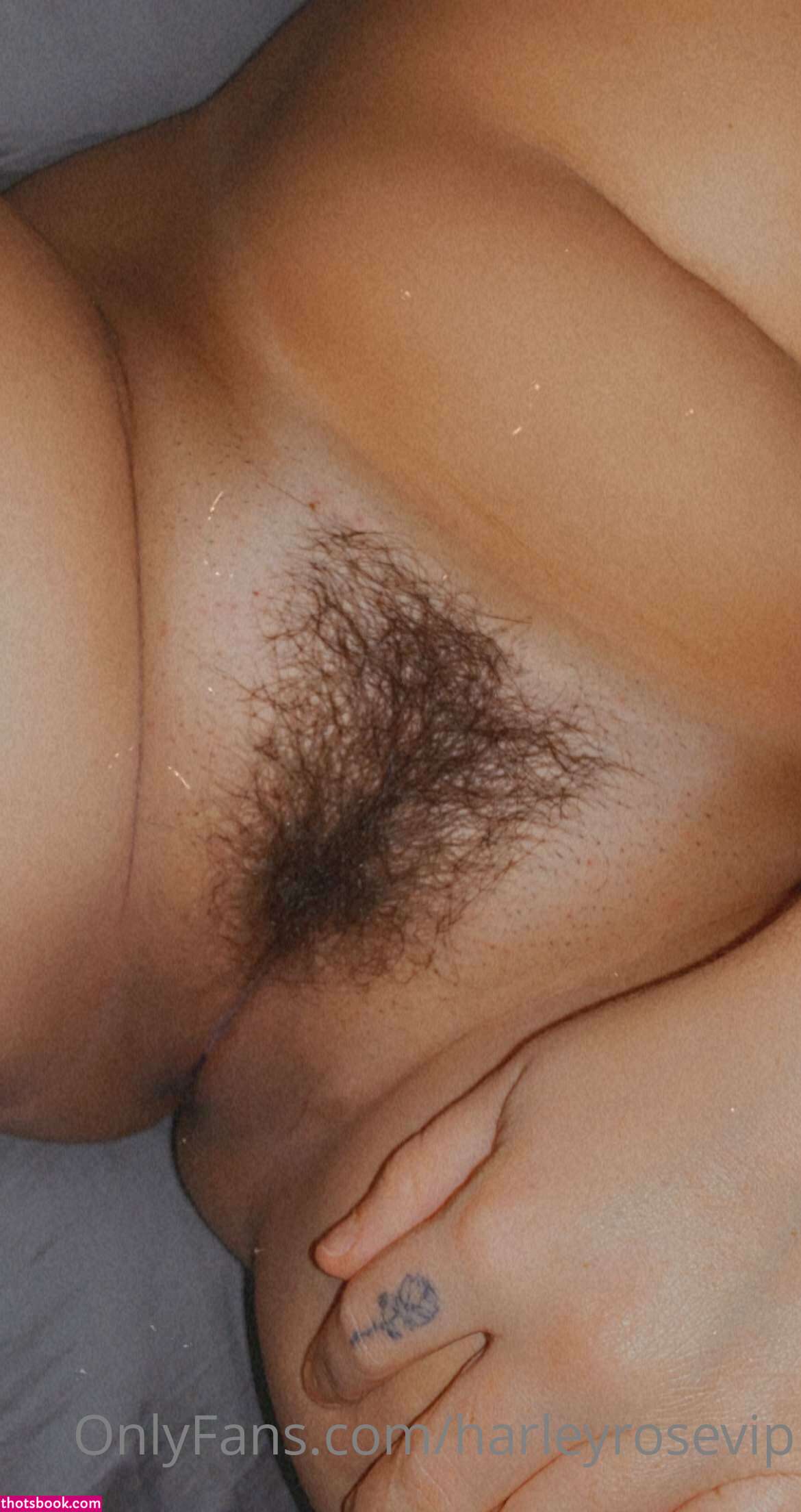 Hello Harley Rose Nude OnlyFans Photos #7 903694