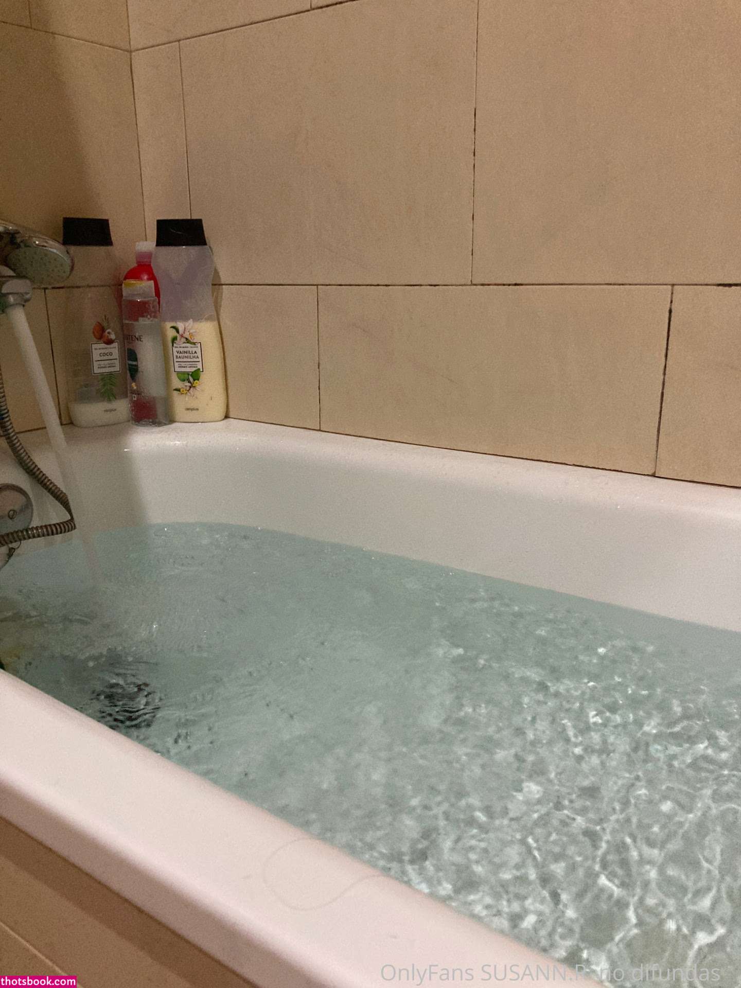 Susana Reyes SusannR Nude OnlyFans Photos #12 936236