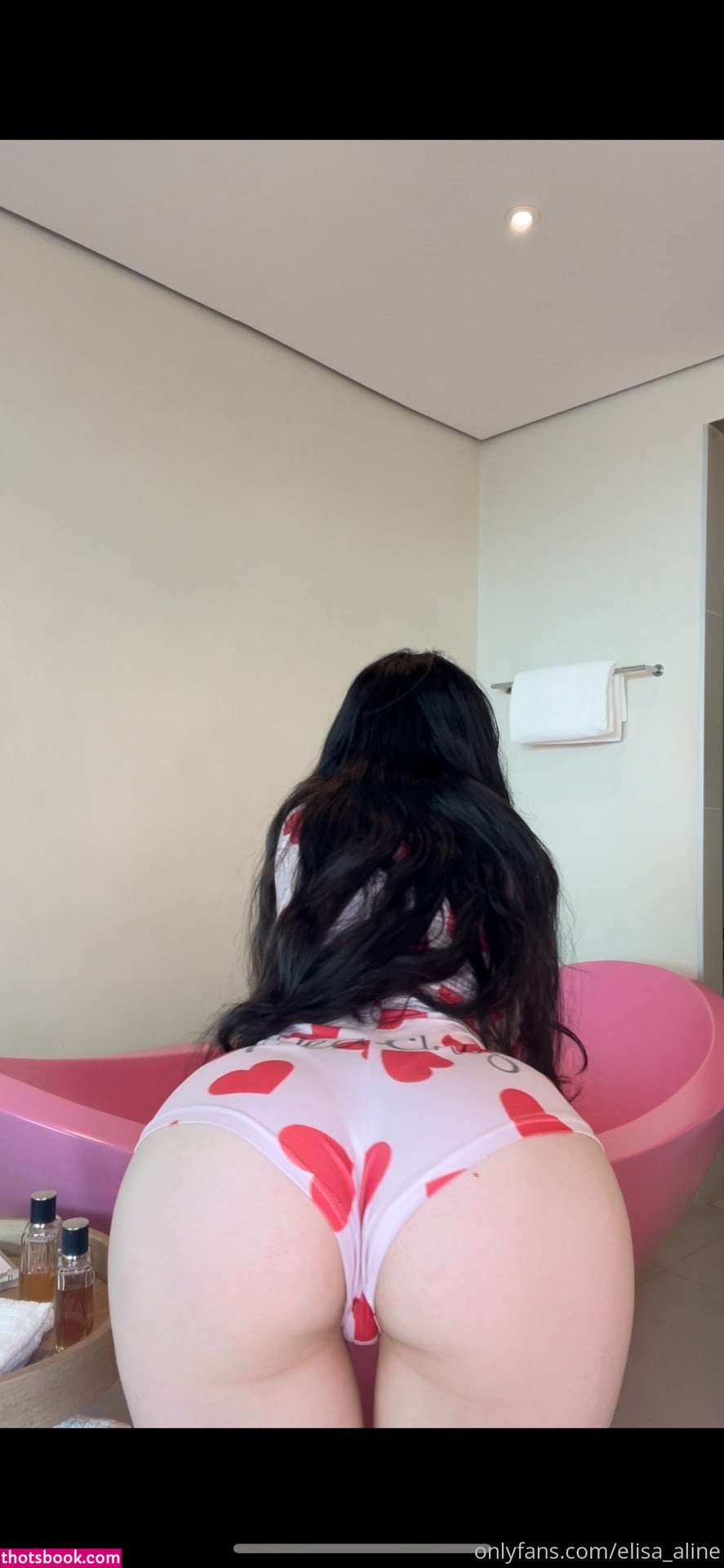 Elisa Aline Nude OnlyFans Photos #15 907729