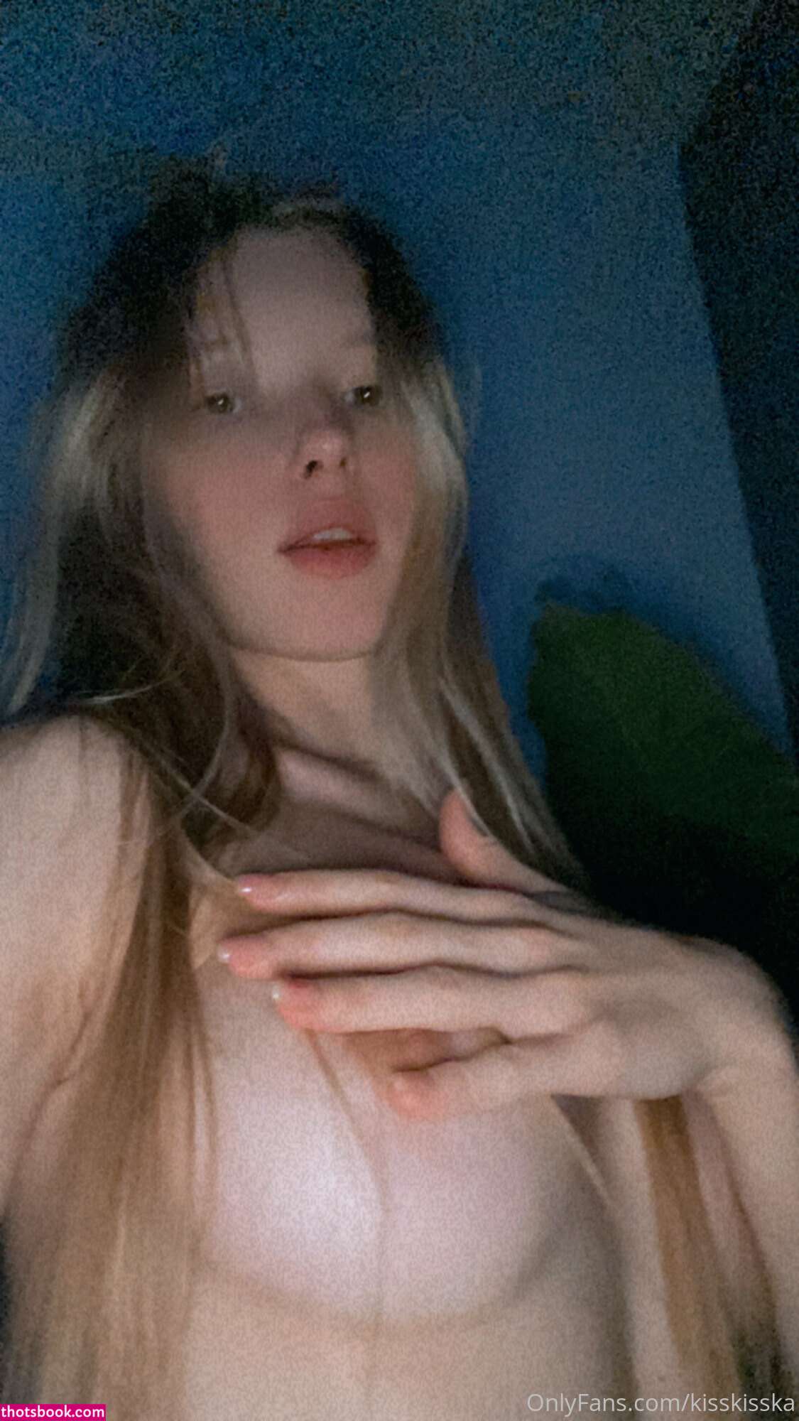 Alena Barhalenko Kisskisska Nude OnlyFans Photos #13 953184