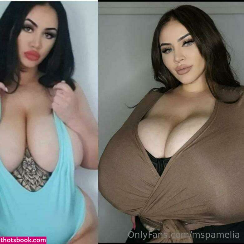 mspamelia misspamelia Nude OnlyFans Photos #4 912401
