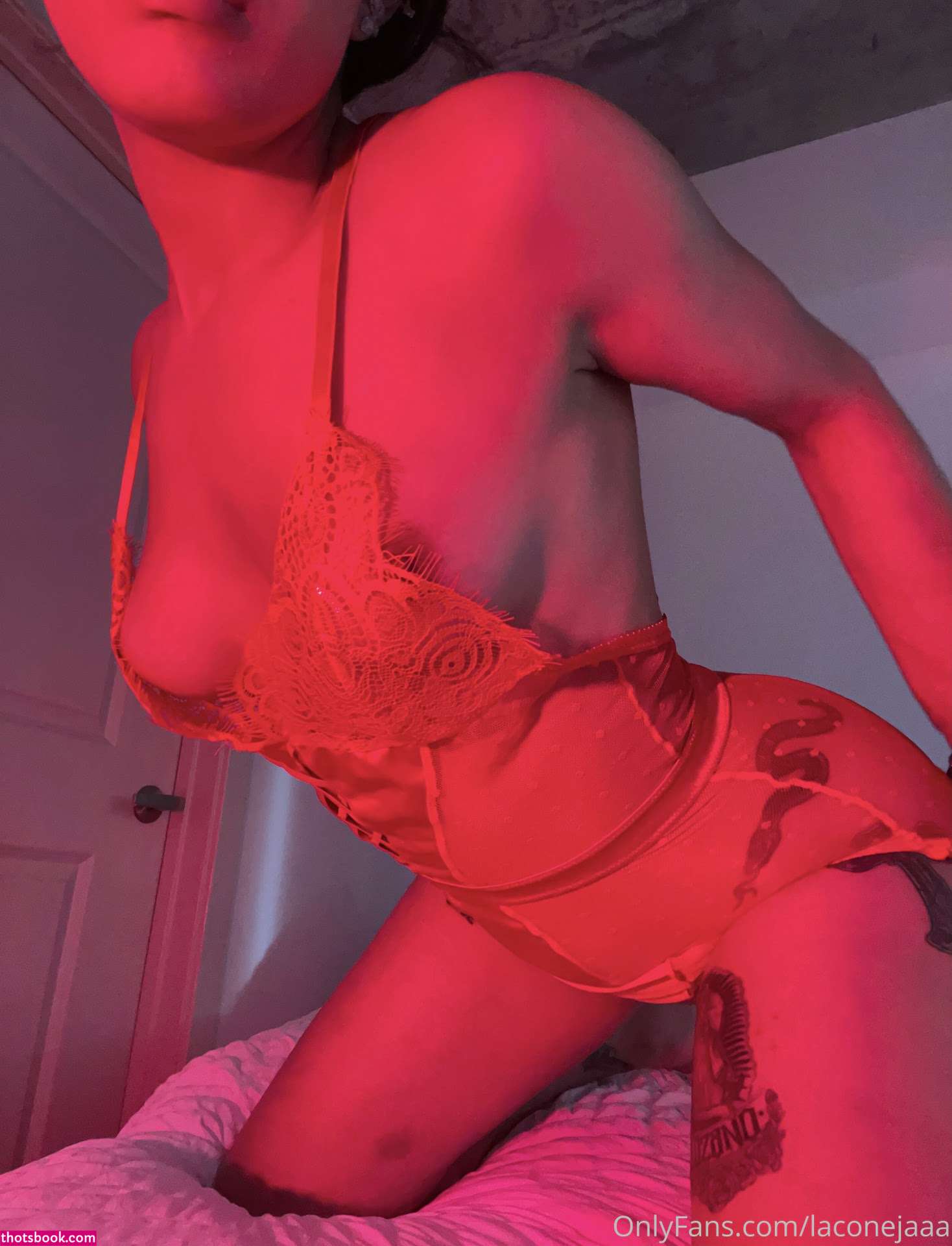 Laconejaaa yamillca Nude OnlyFans Photos #1 944533