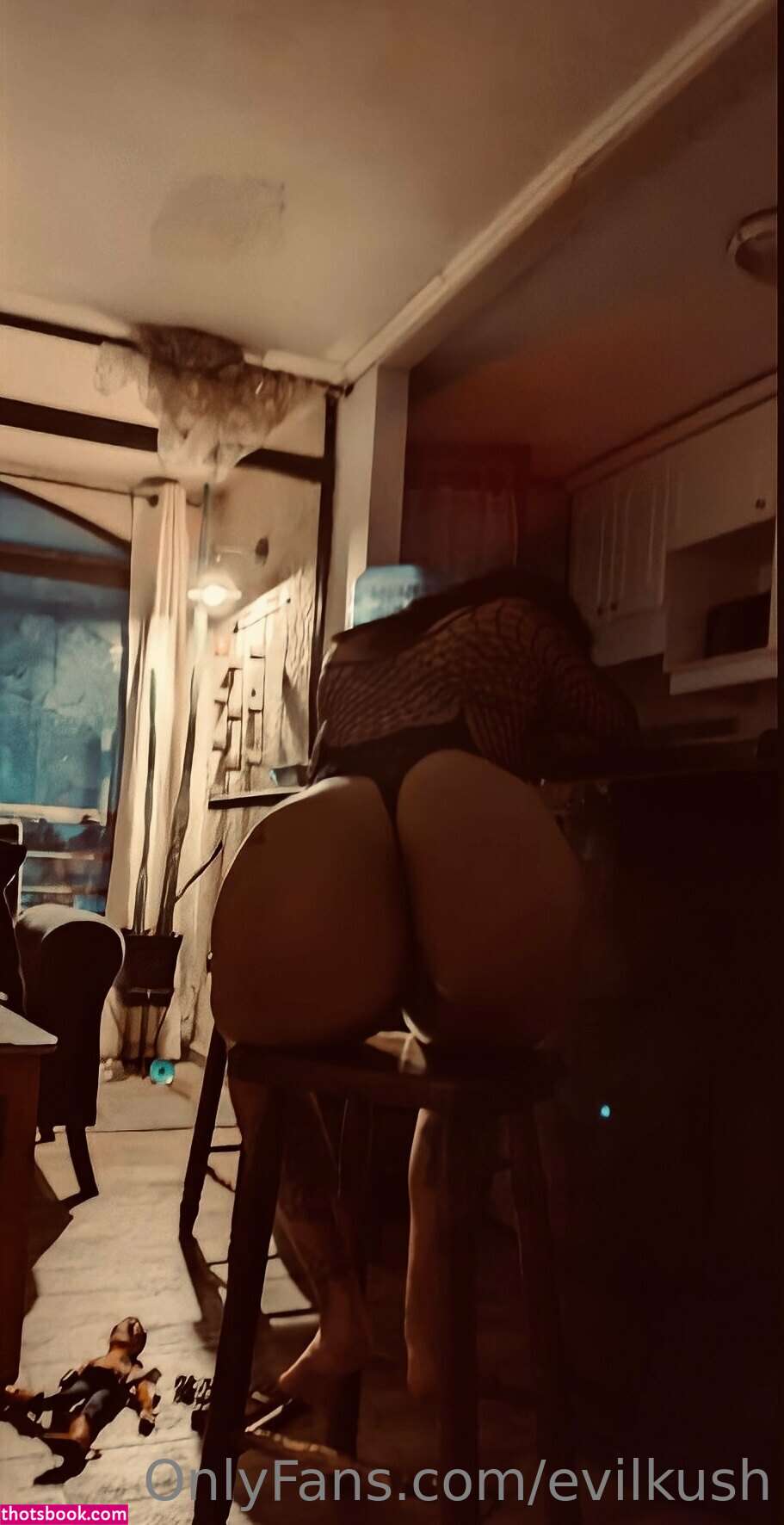 Romy Kush Evilkush Nude OnlyFans Photos #9 894738