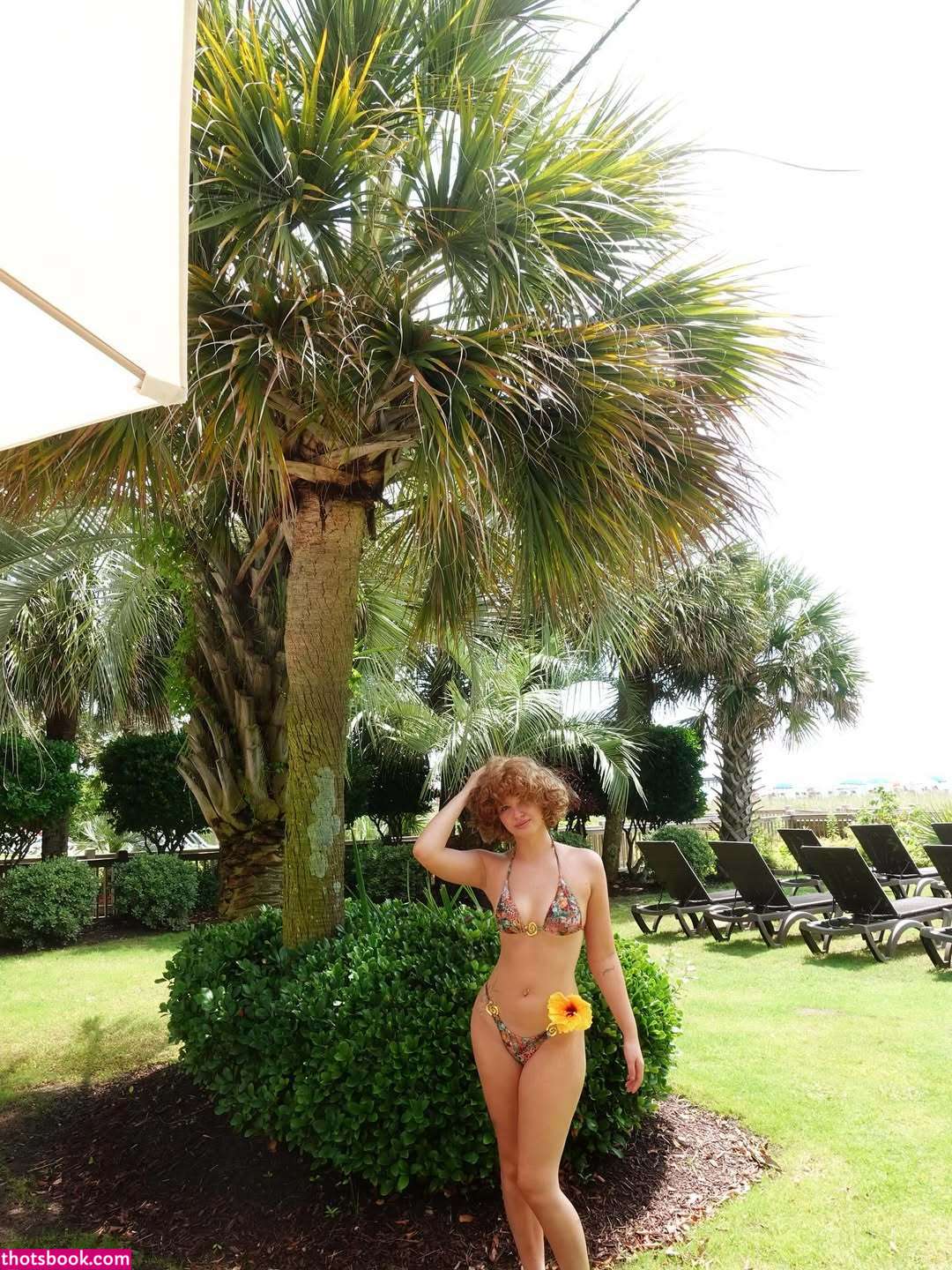 Gina Lynn Nude Leaks OnlyFans Photos #11 1701358