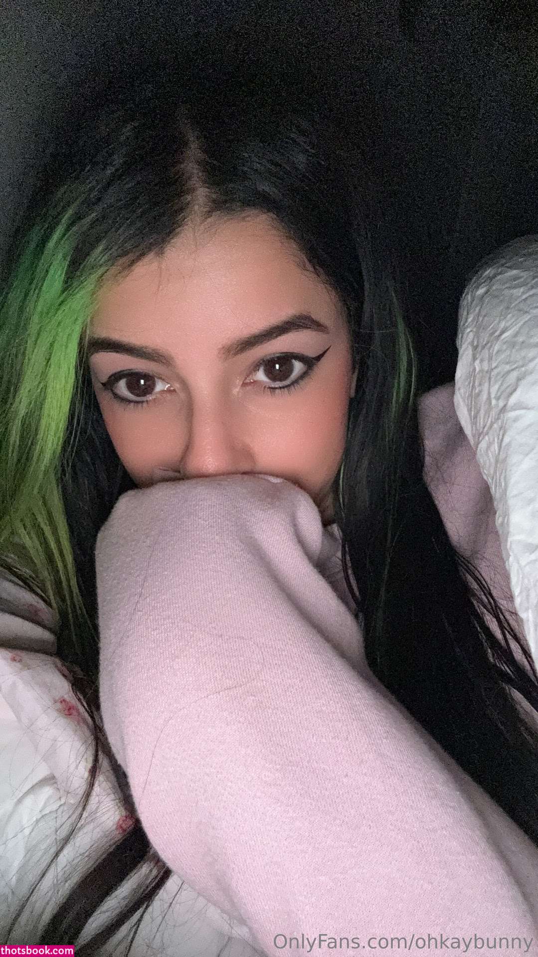 ohkaybunny Nude Leaks OnlyFans Photos #17 1677949