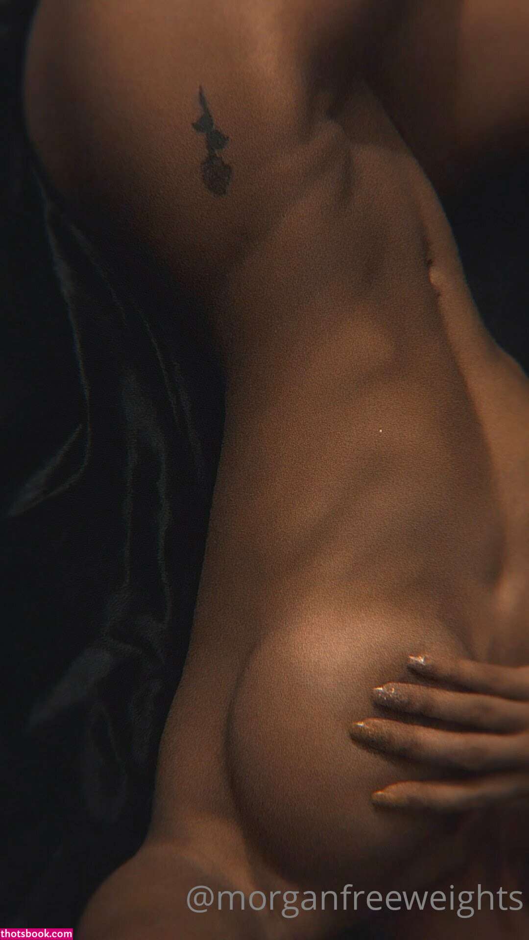 morganfreeweights mfweights Nude Leaks OnlyFans Photos #3 1684549