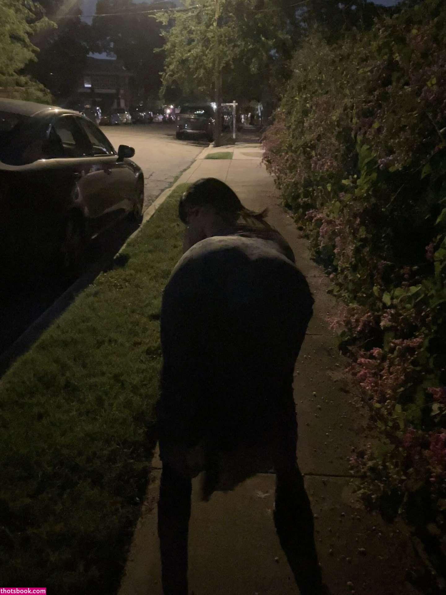 Sarynthia Sanity Slip bogofdecayed Nude Leaks OnlyFans Photos #2 1685855