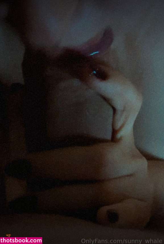 Sunny whale Nude Leaks OnlyFans Photos #3 1686035