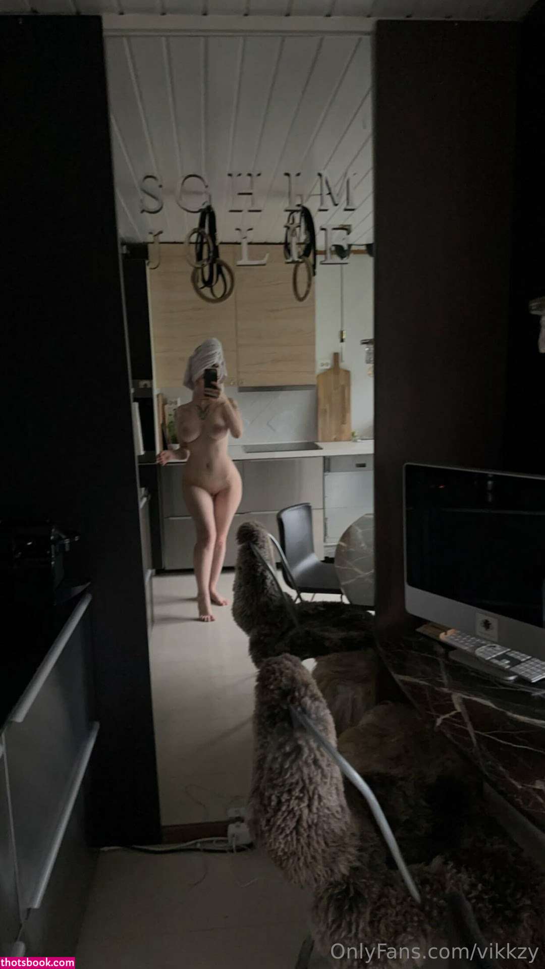 Vikkzy Nude Leaks OnlyFans Photos #12 1698935