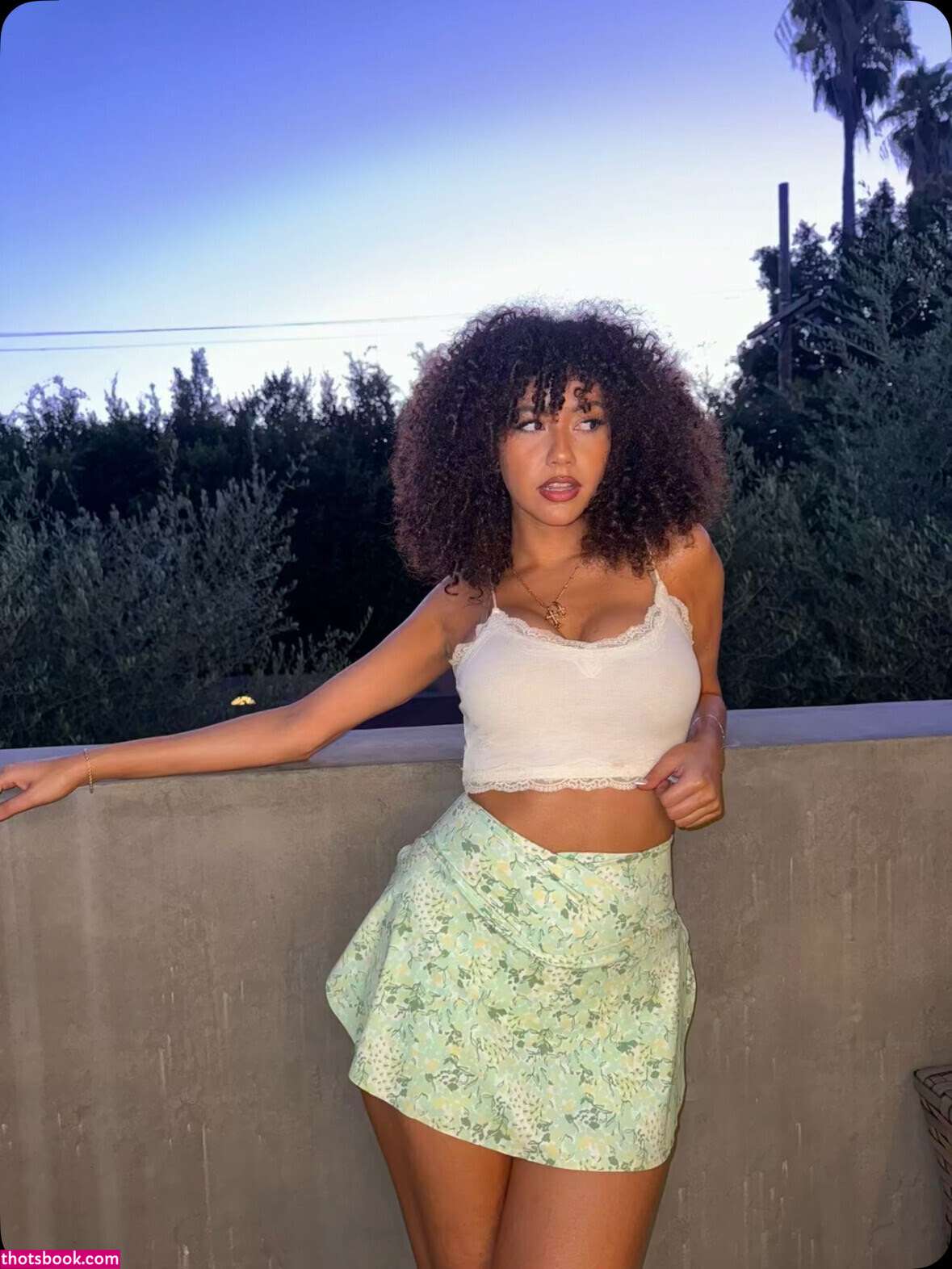 Megan Botnick Nude Leaks OnlyFans Photos #5 1706544