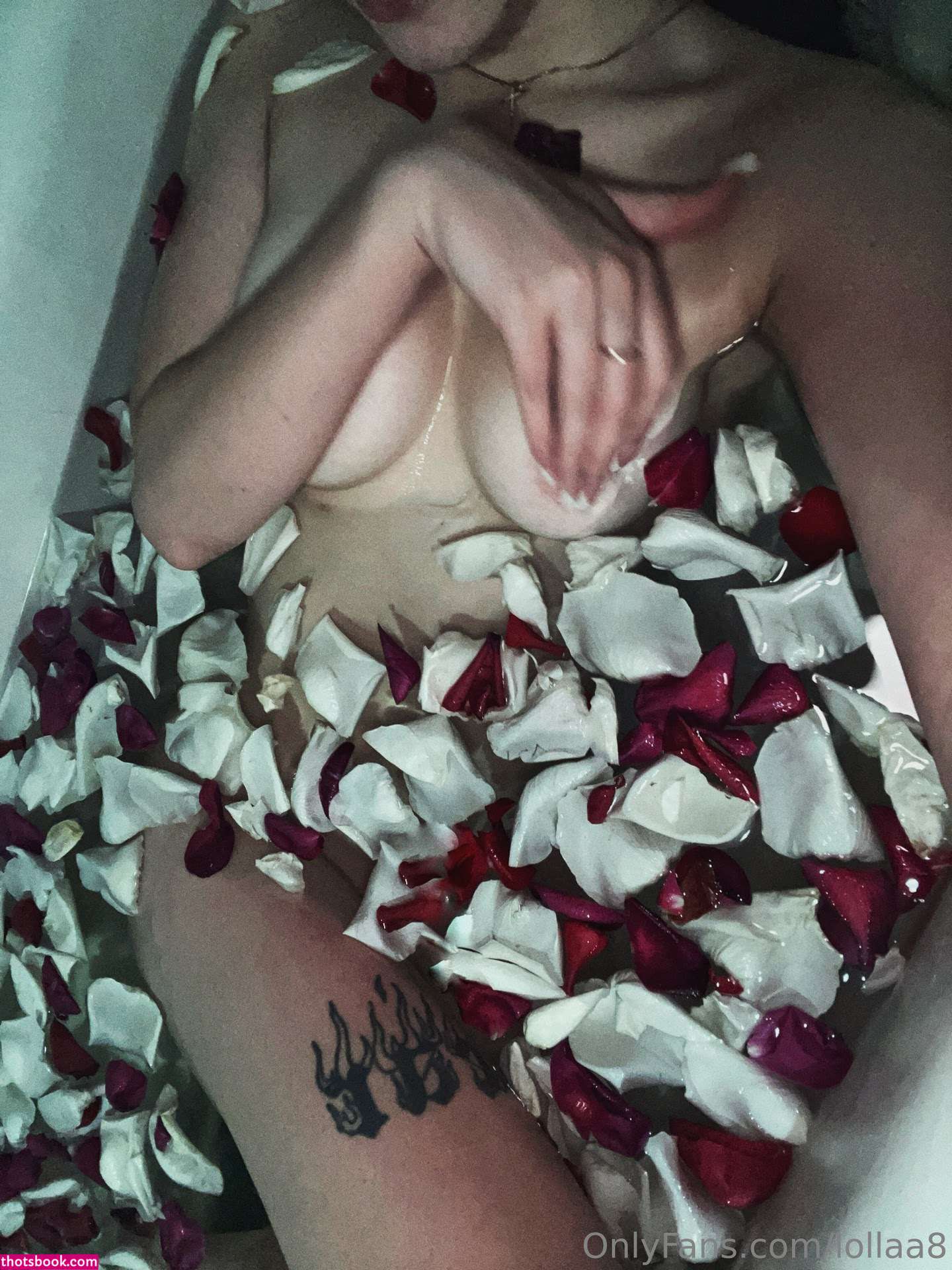 Lollaa8 Nude Leaks OnlyFans Photos #2 1716727