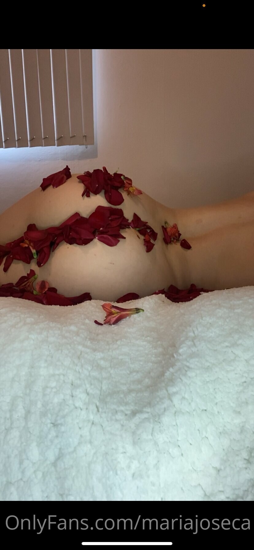 Maria Jose Onlyfans Leaked Pictures 121134