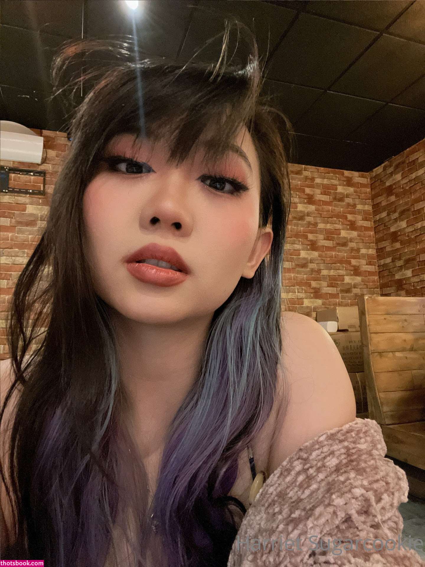 Harriet Sugarcookie Photos #9 198495