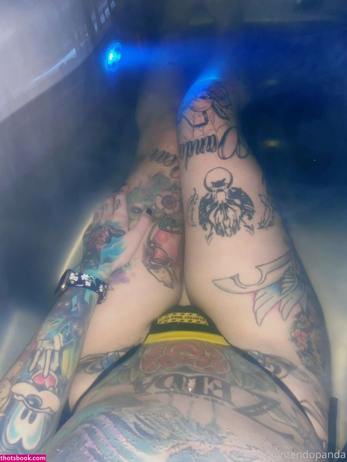 NintendoPanda OnlyFans Photos #5 200267