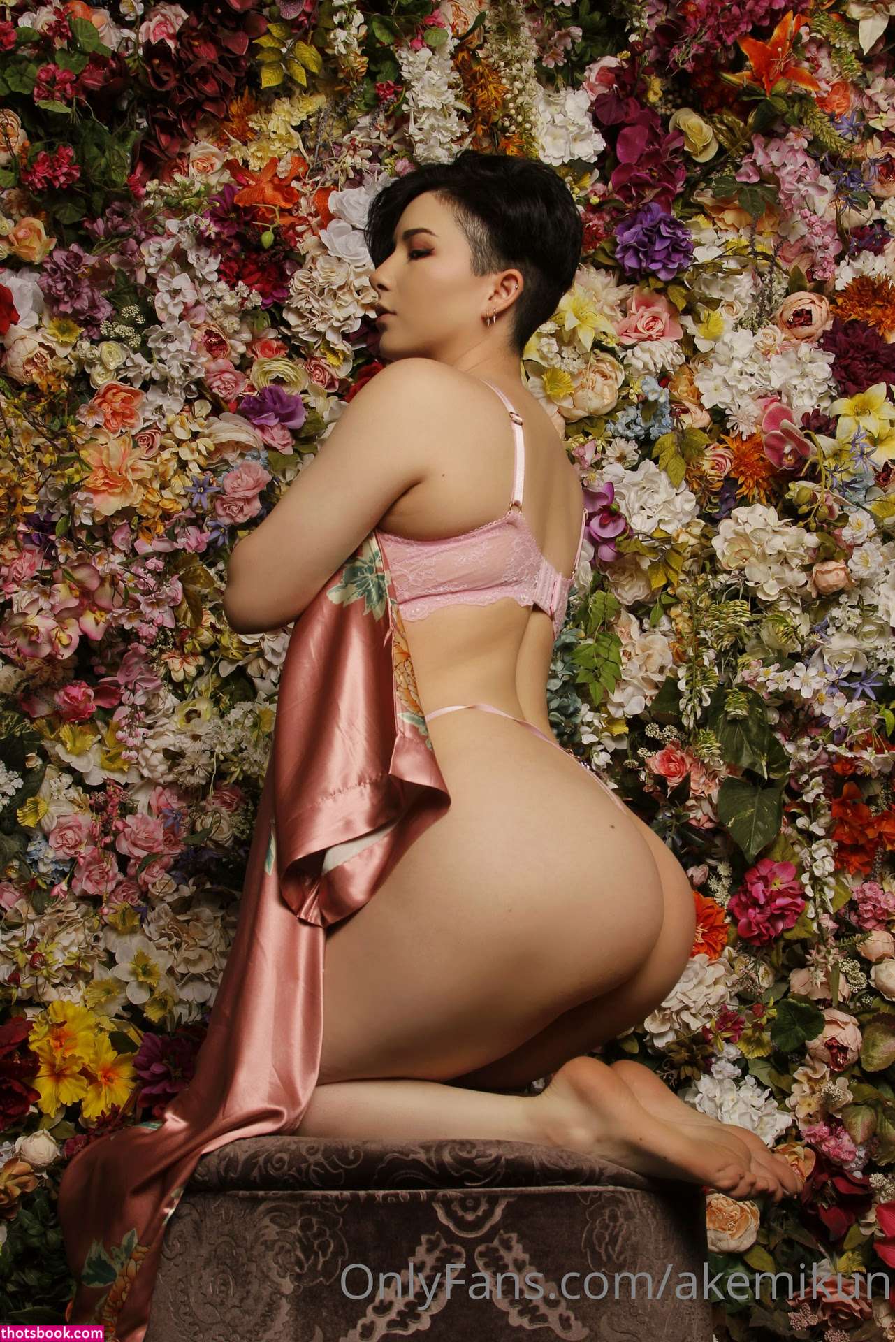 Akemikun OnlyFans Photos #1 205345