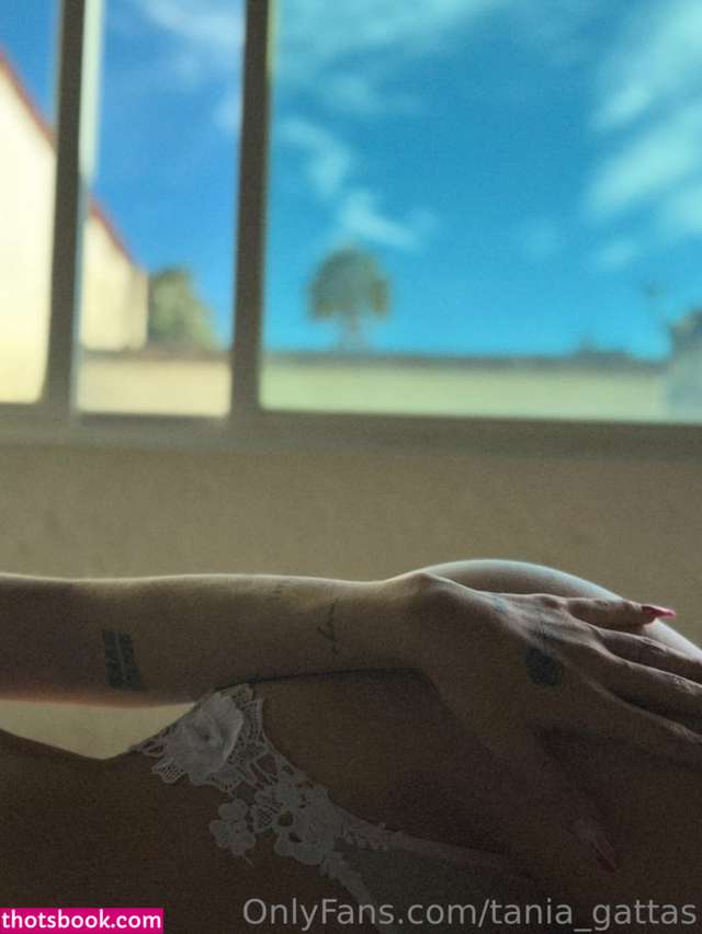 Tania Gattas OnlyFans Photos #2 201813