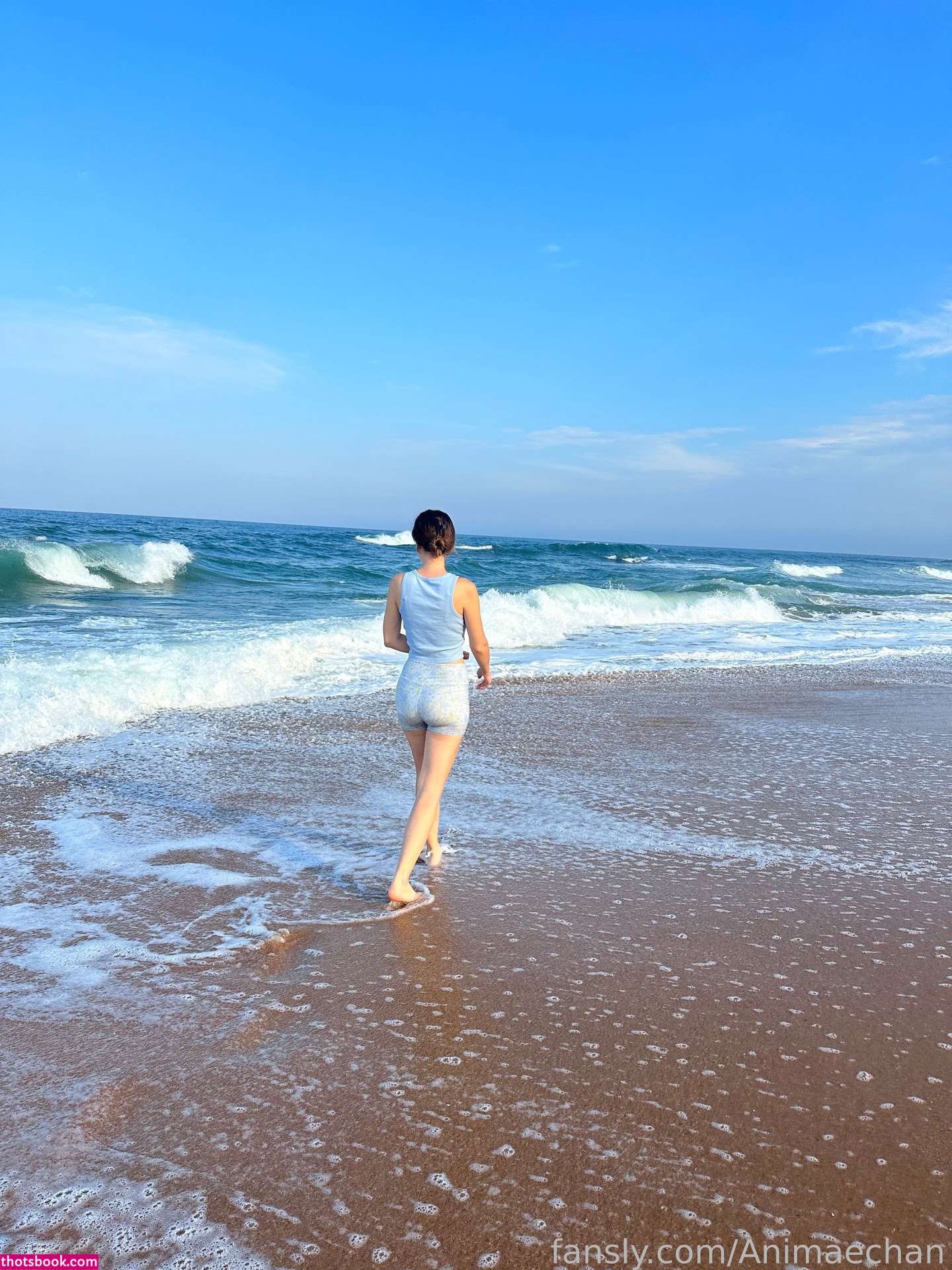 Animaechan OnlyFans Photos #7 214734