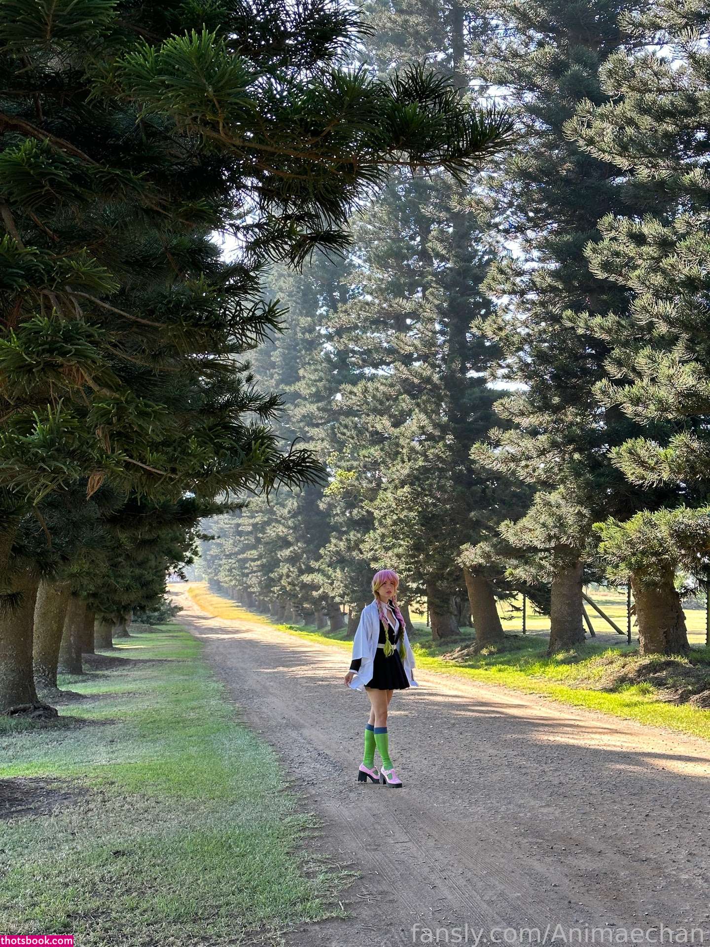 Animaechan OnlyFans Photos #9 214742