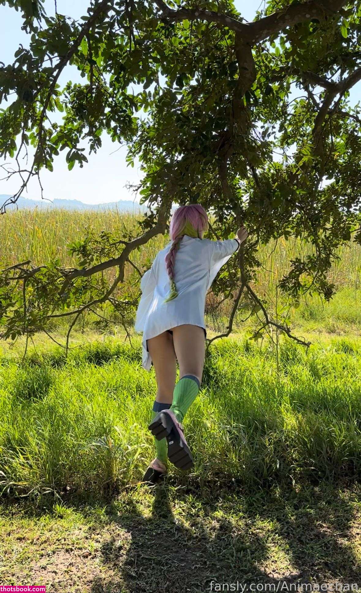 Animaechan OnlyFans Photos #9 214743