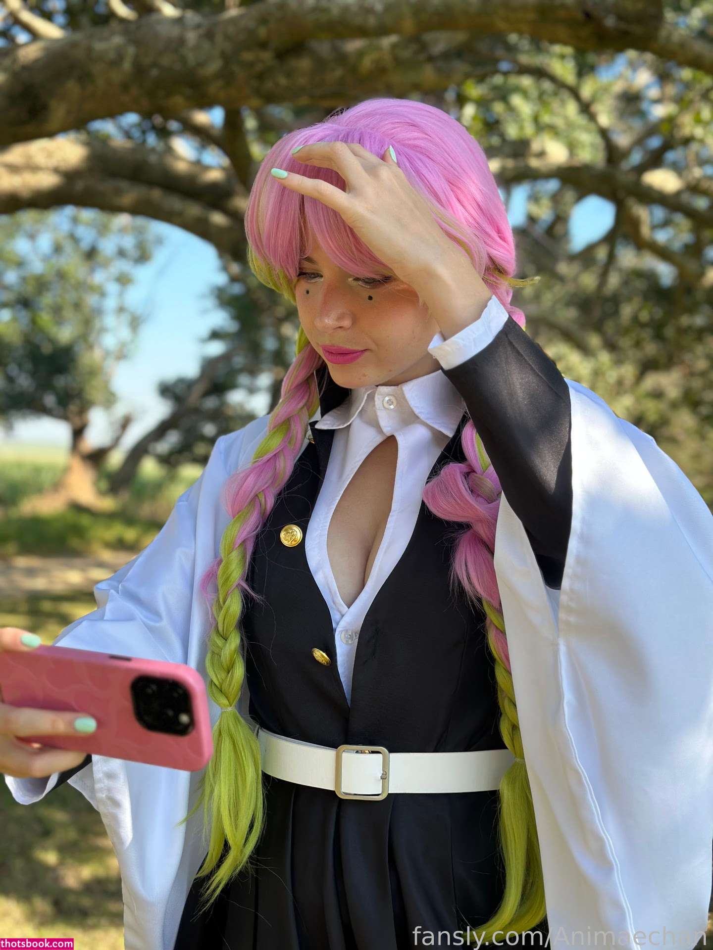 Animaechan OnlyFans Photos #9 214745