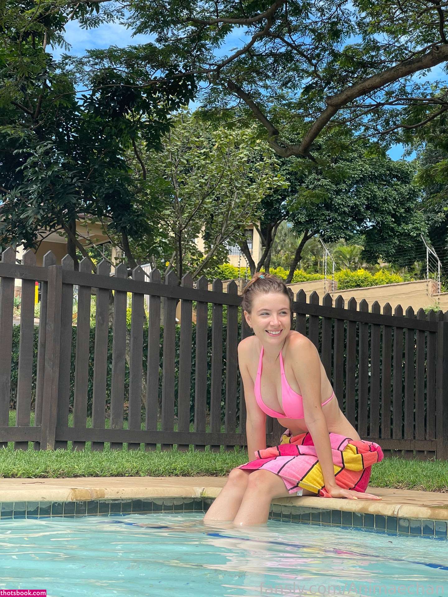 Animaechan OnlyFans Photos #10 214749