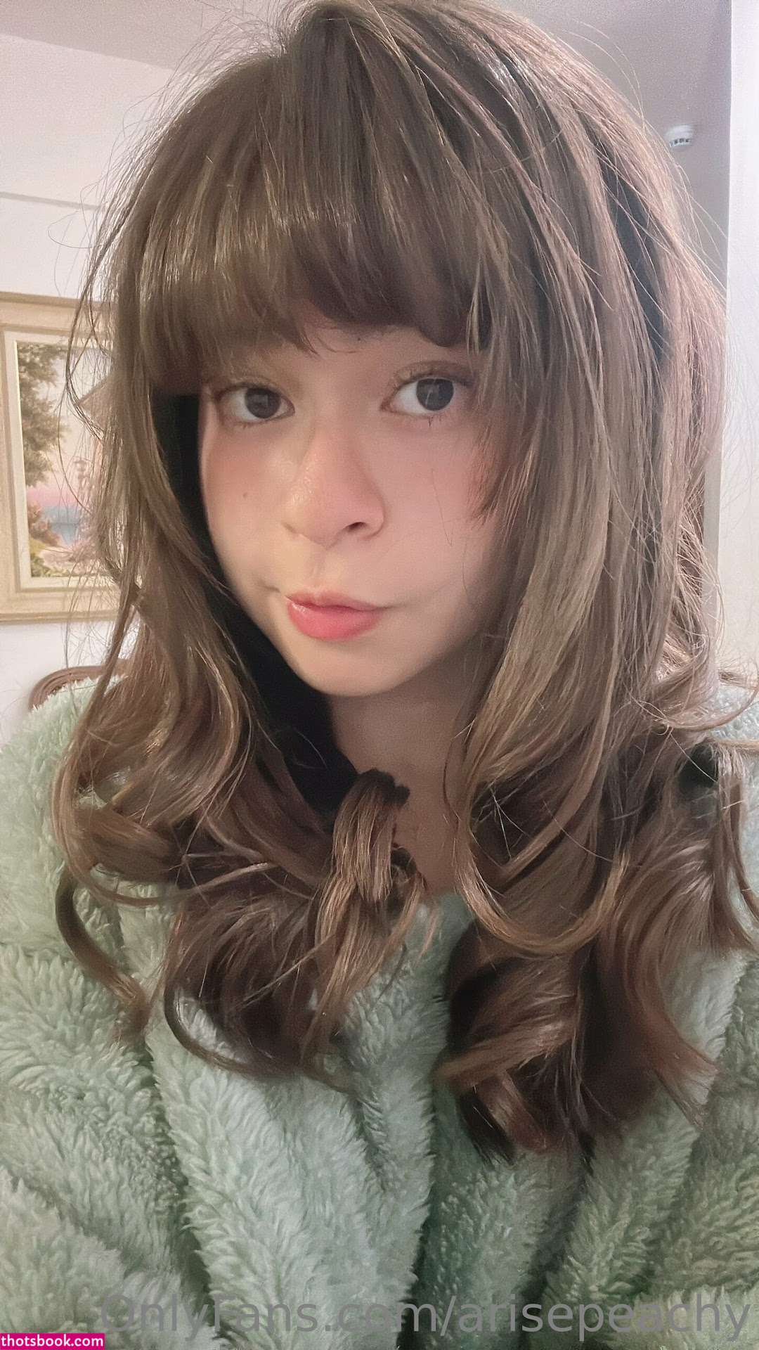 Arise Peachy Nude OnlyFans Photos #10 884021