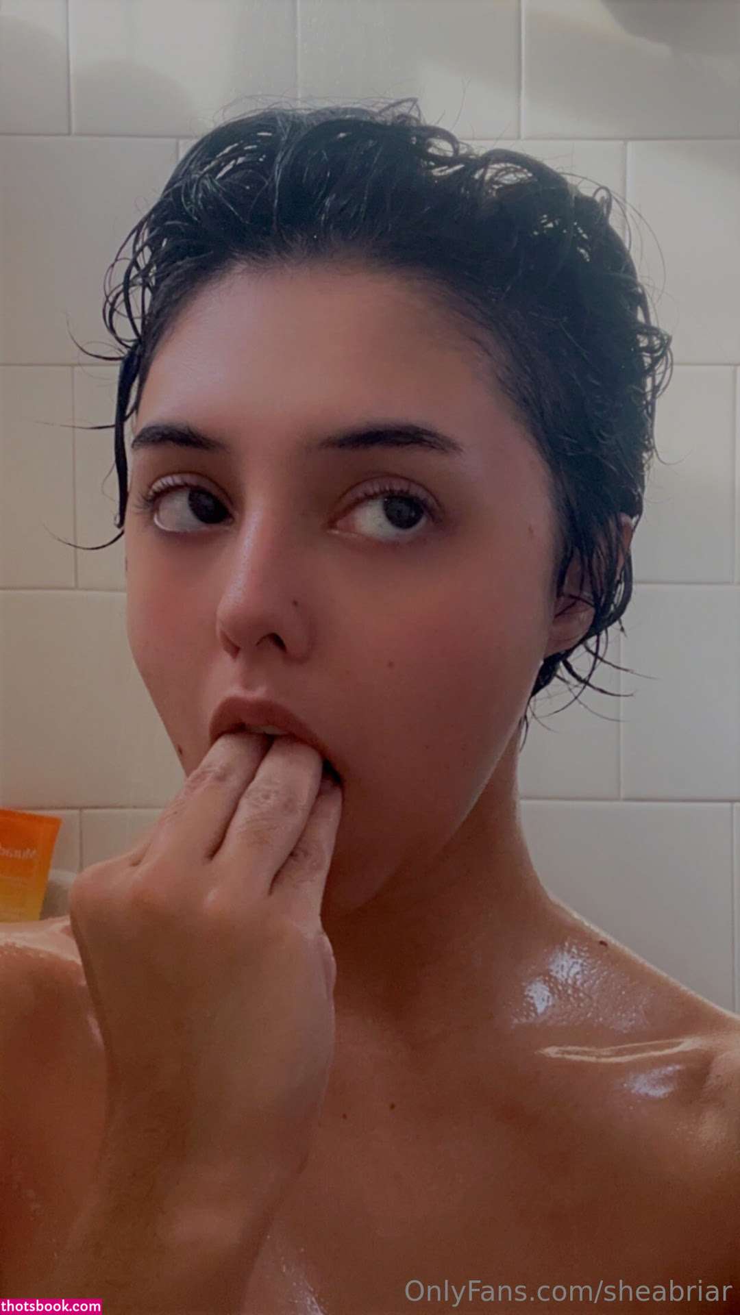 Shea Briar Nude OnlyFans Photos #9 873504