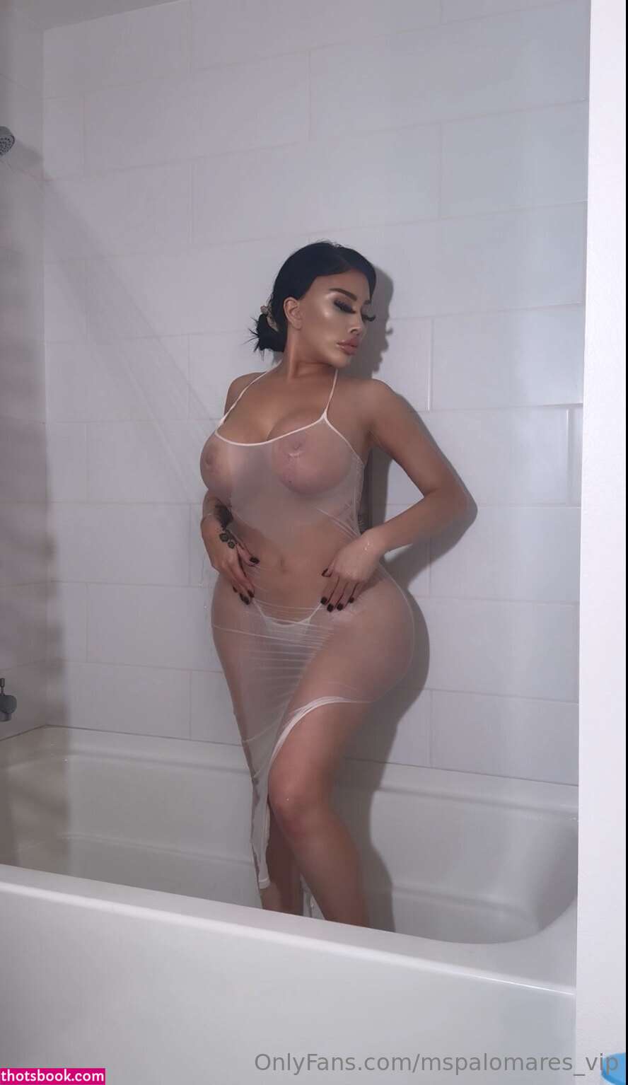 MsPalomares Nude OnlyFans Photos #8 842183