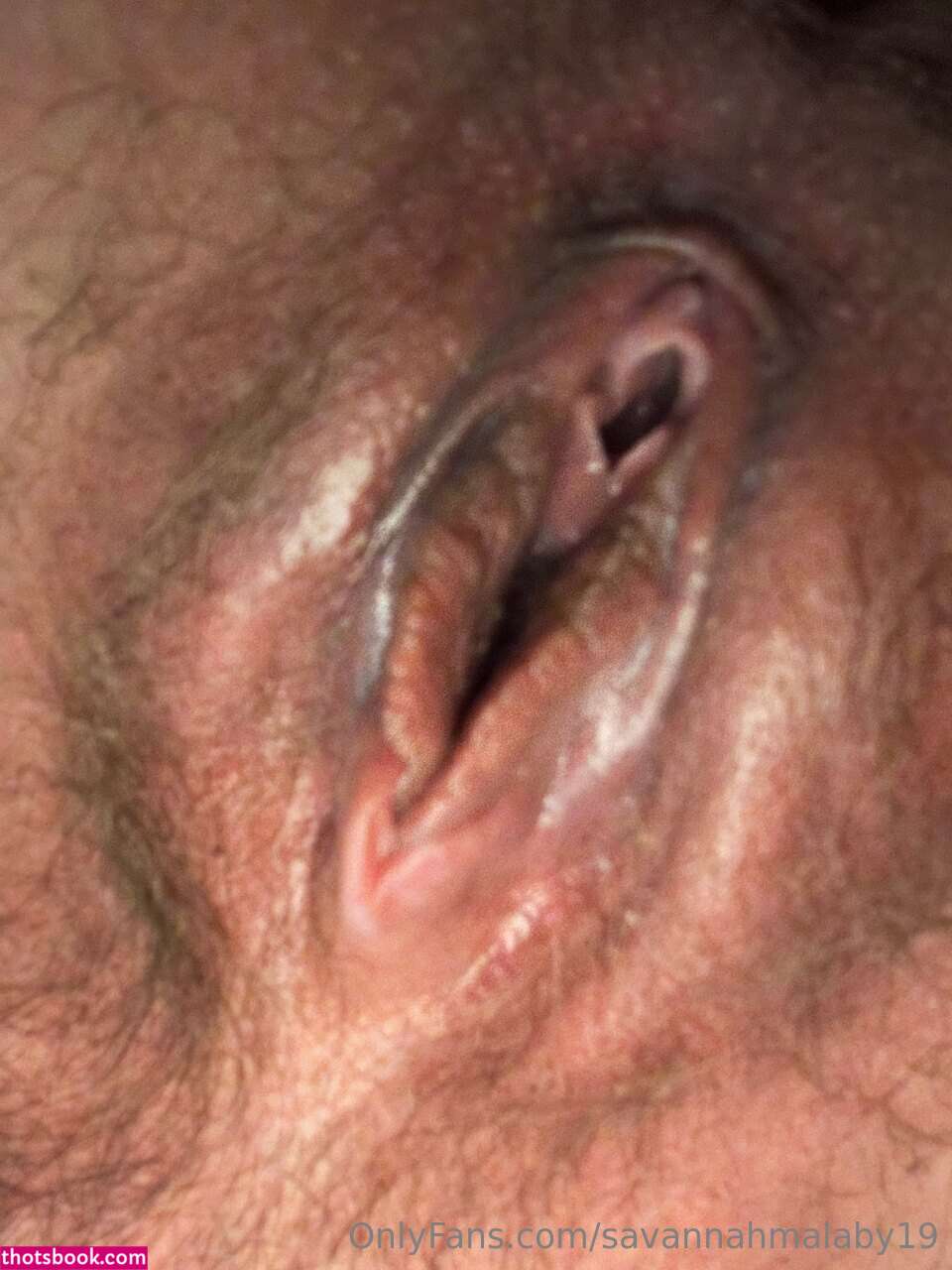 Savannah Malaby Nude OnlyFans Photos #15 865612