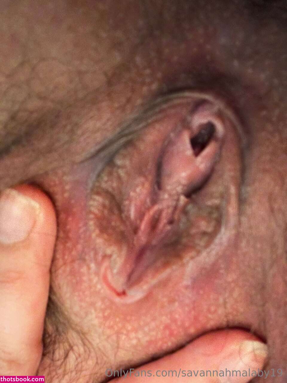 Savannah Malaby Nude OnlyFans Photos #15 865614