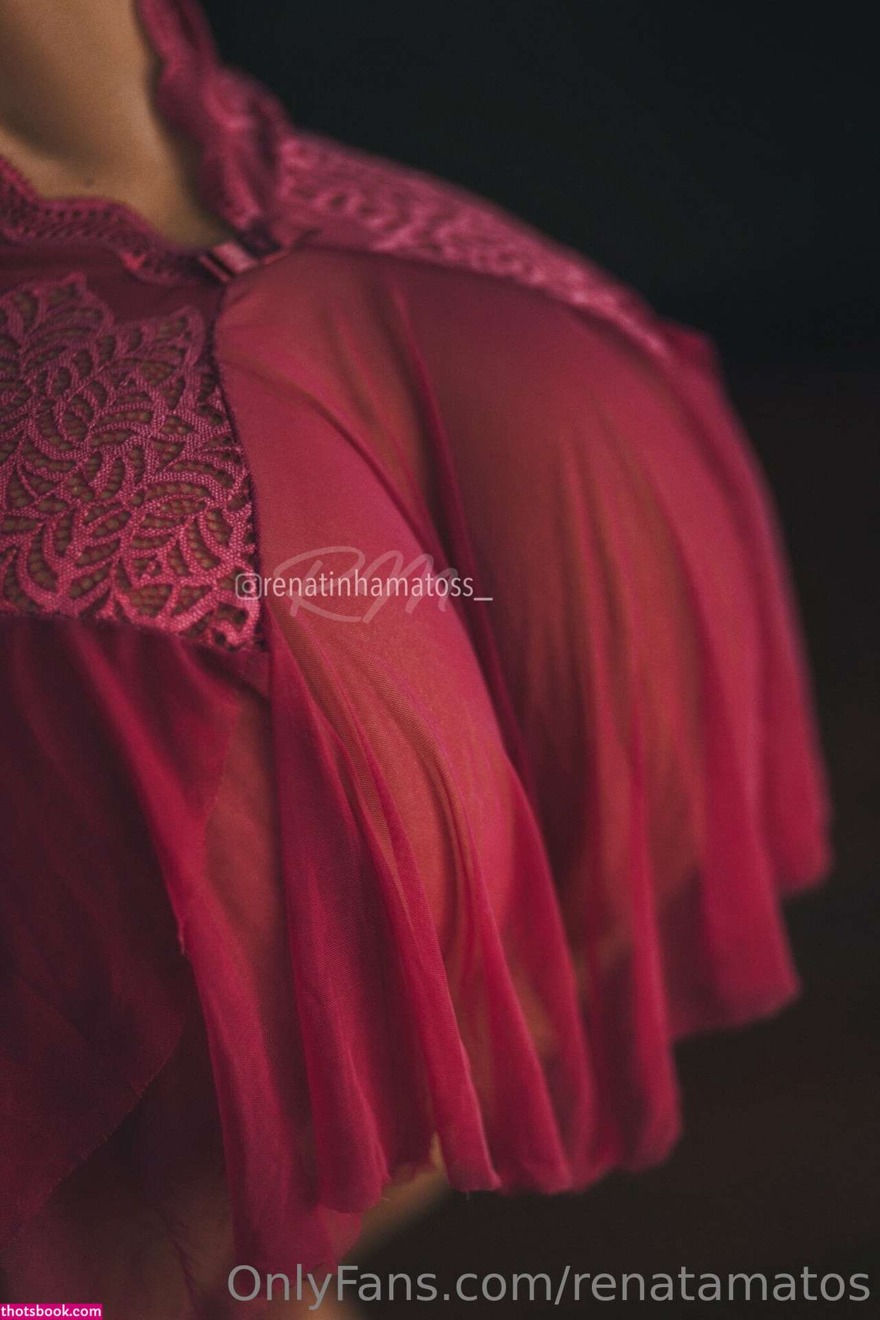 Renata Matos Nude OnlyFans Photos #19 886076