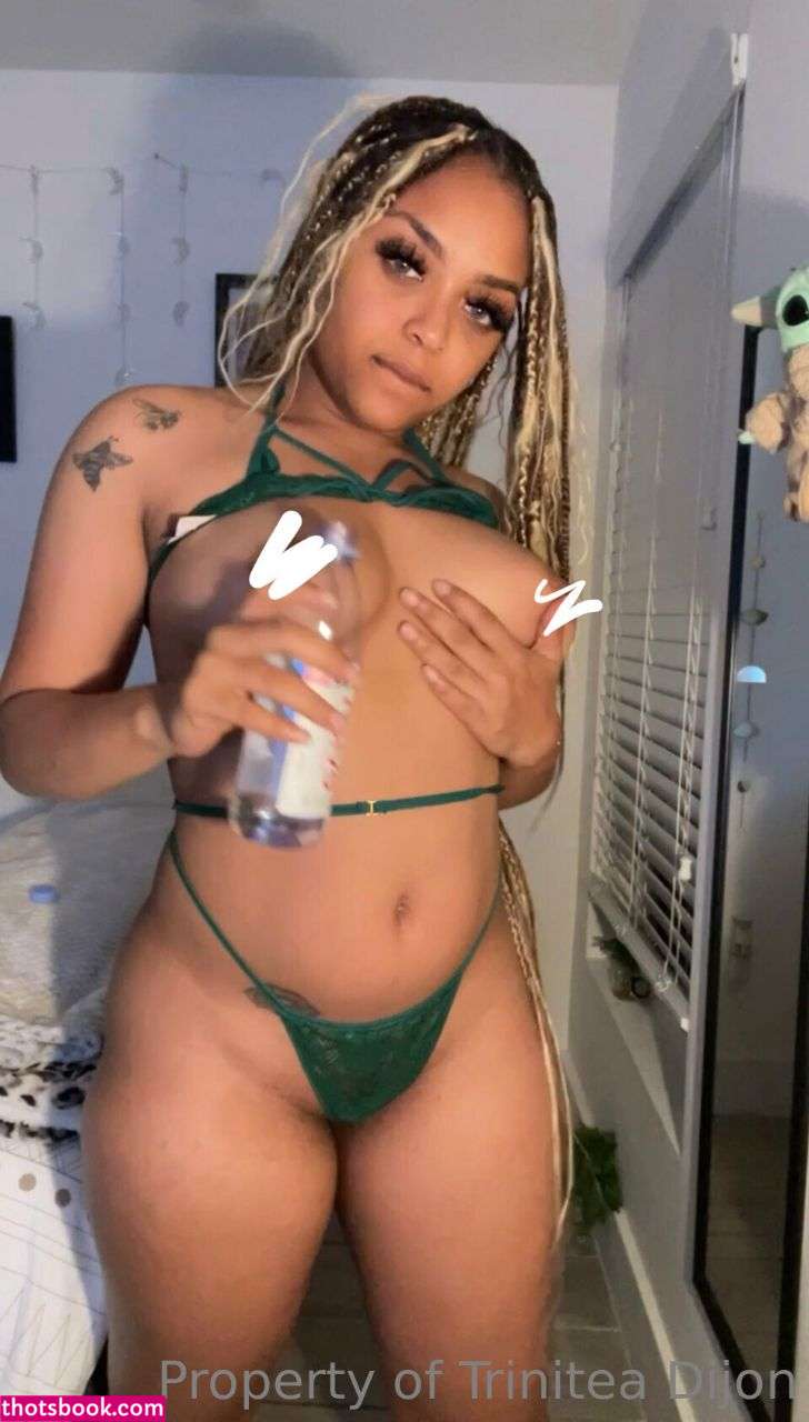 TrinDen Nude OnlyFans Photos #6 817506