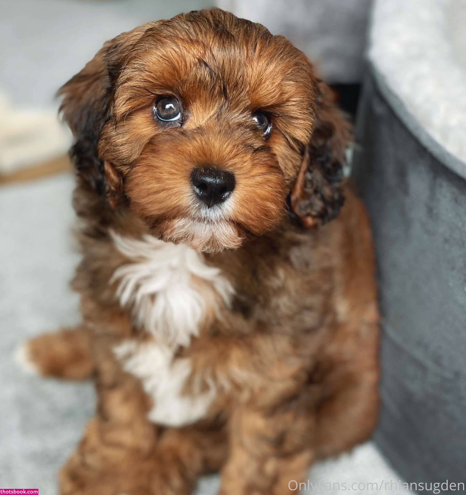 Rhian Sugden Nude OnlyFans Photos #27 837326