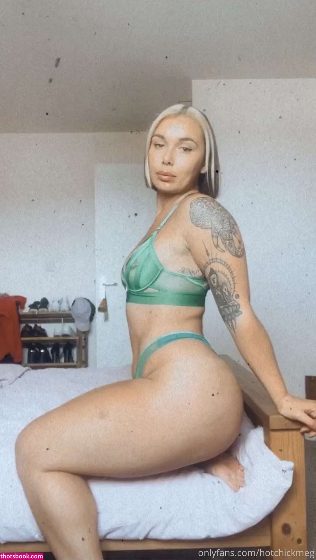 hotchickmeg Nude OnlyFans Photos #14 858012