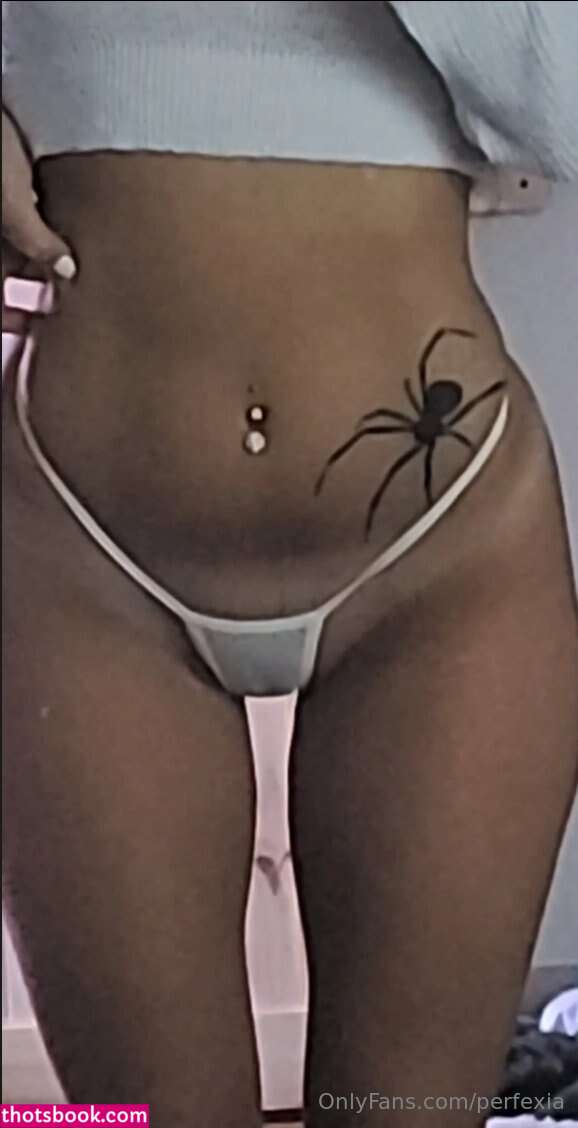 Perfexia Nude OnlyFans Photos #28 876138