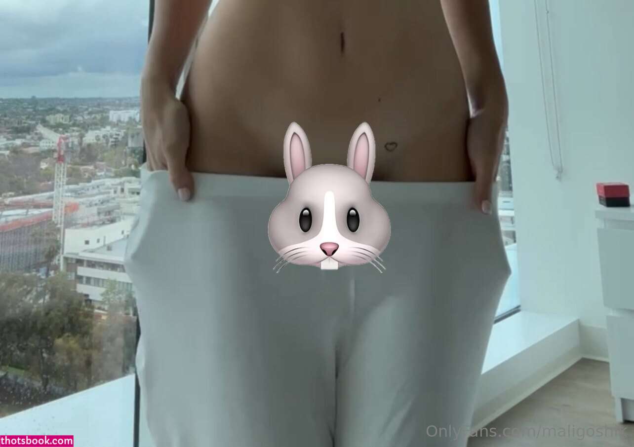 Anna Malygon maligoshik maligoshika Nude OnlyFans Photos #16 852265