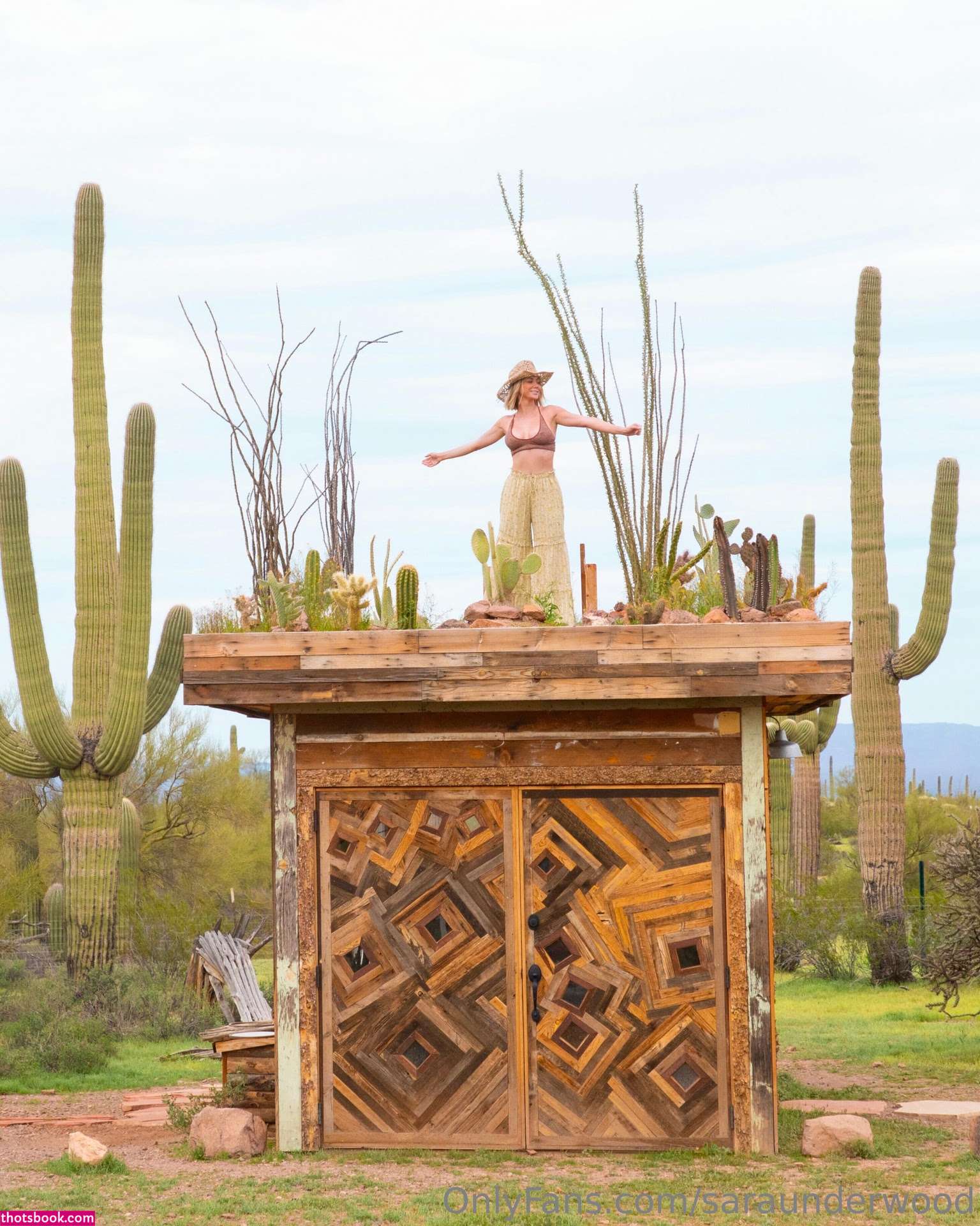 Sara Jean Underwood Saraunderwood Nude OnlyFans Photos #44 646380