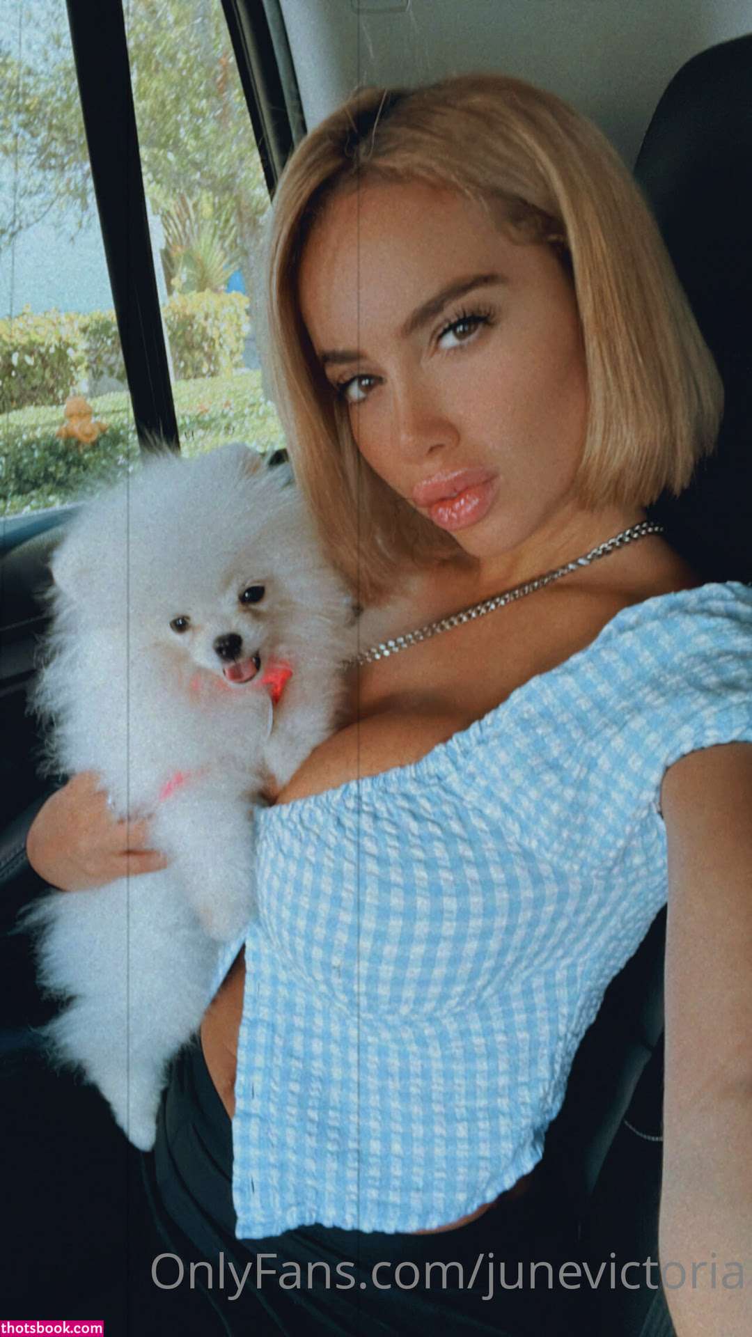 Victoria June Nude OnlyFans Photos #1 615571