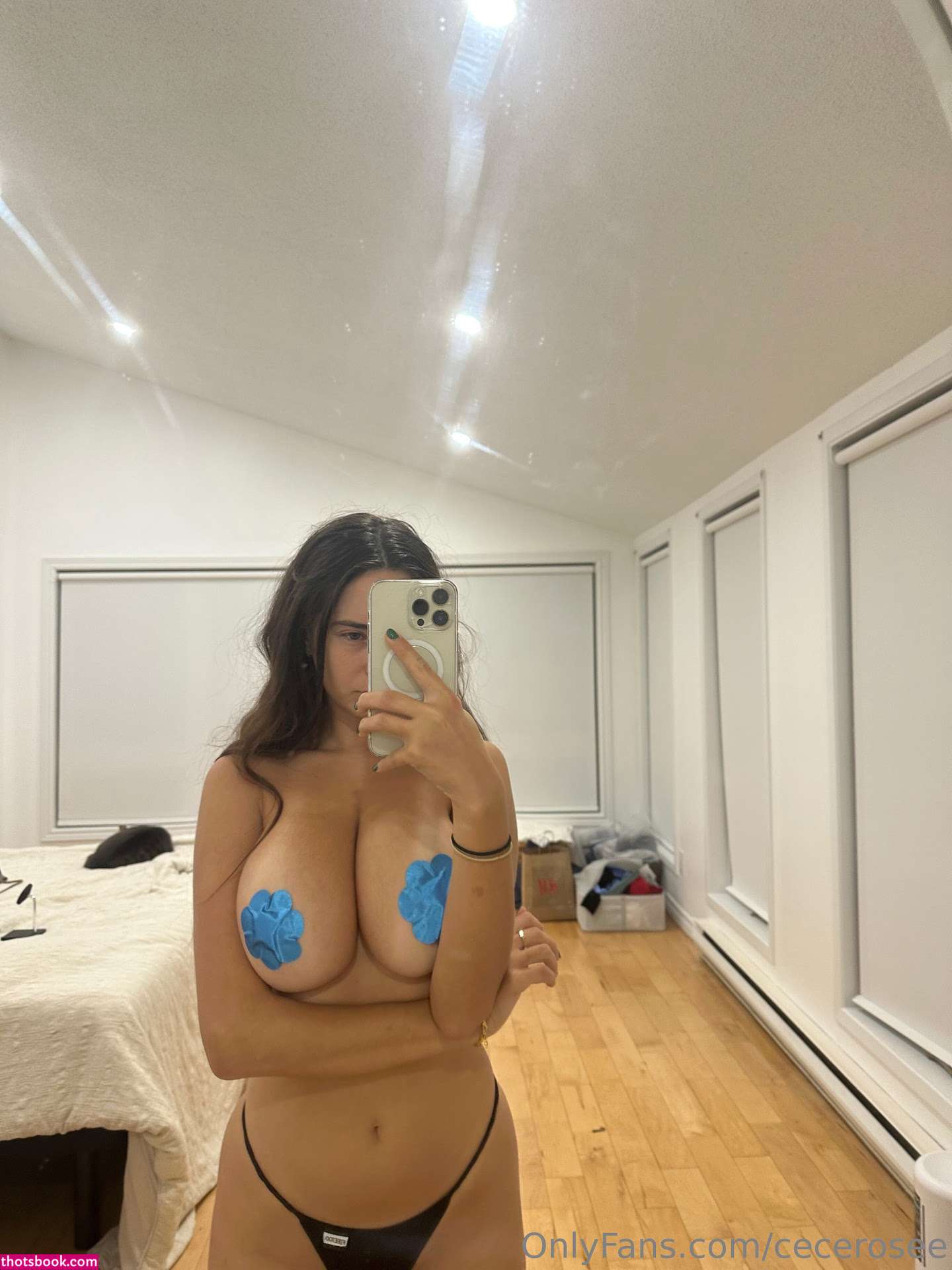 Cece Rose Nude OnlyFans Photos #44 593665