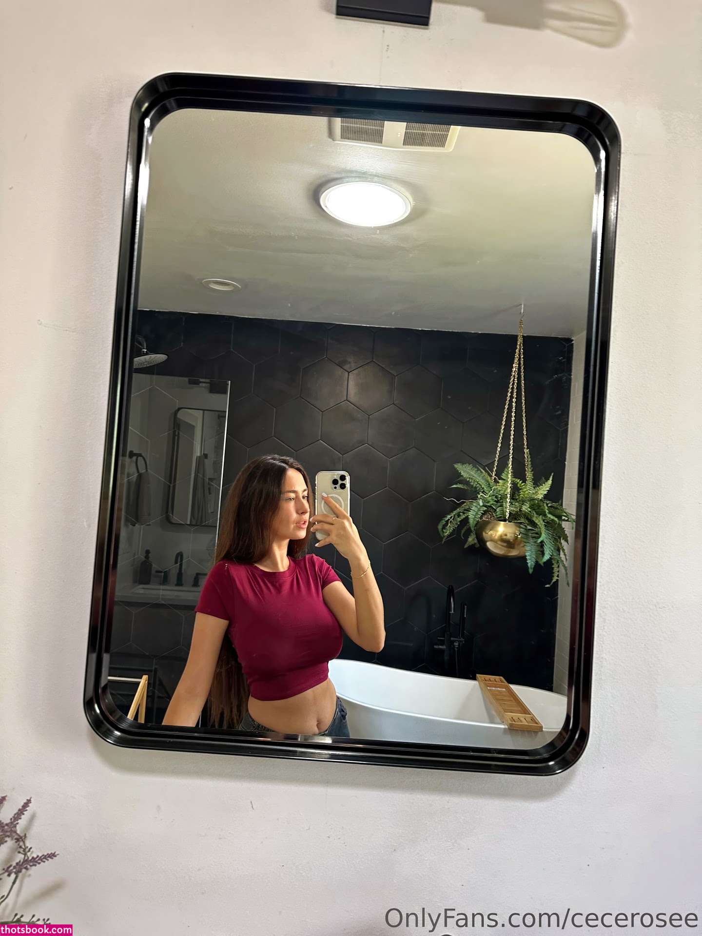 Cece Rose Nude OnlyFans Photos #46 593682