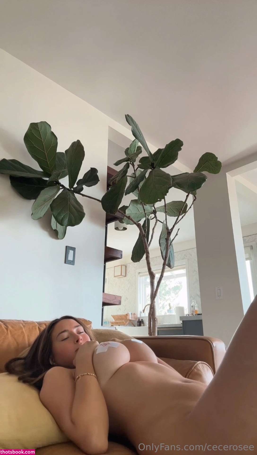 Cece Rose Nude OnlyFans Photos #48 593688