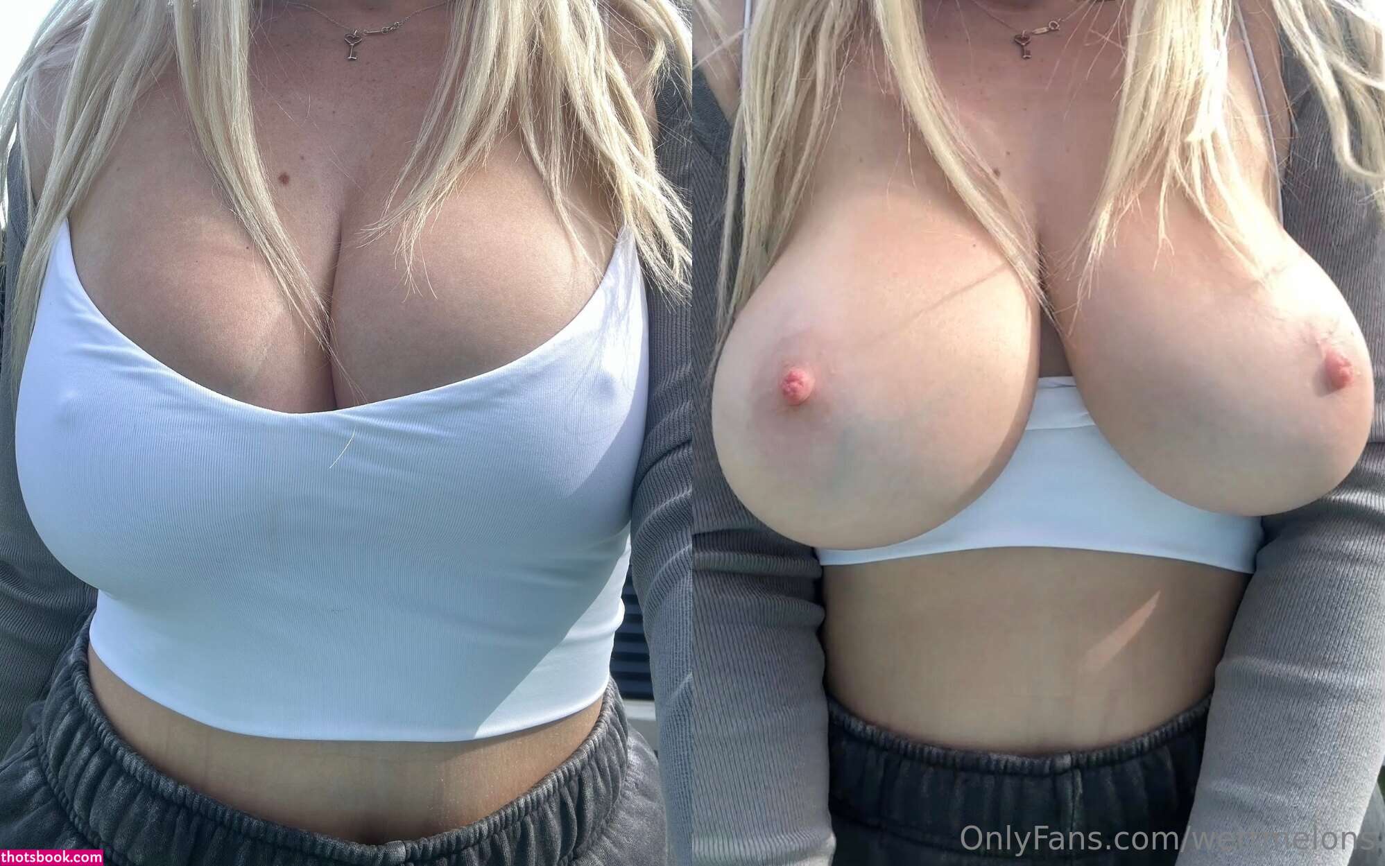 WettMelons Nude OnlyFans Photos #53 594998