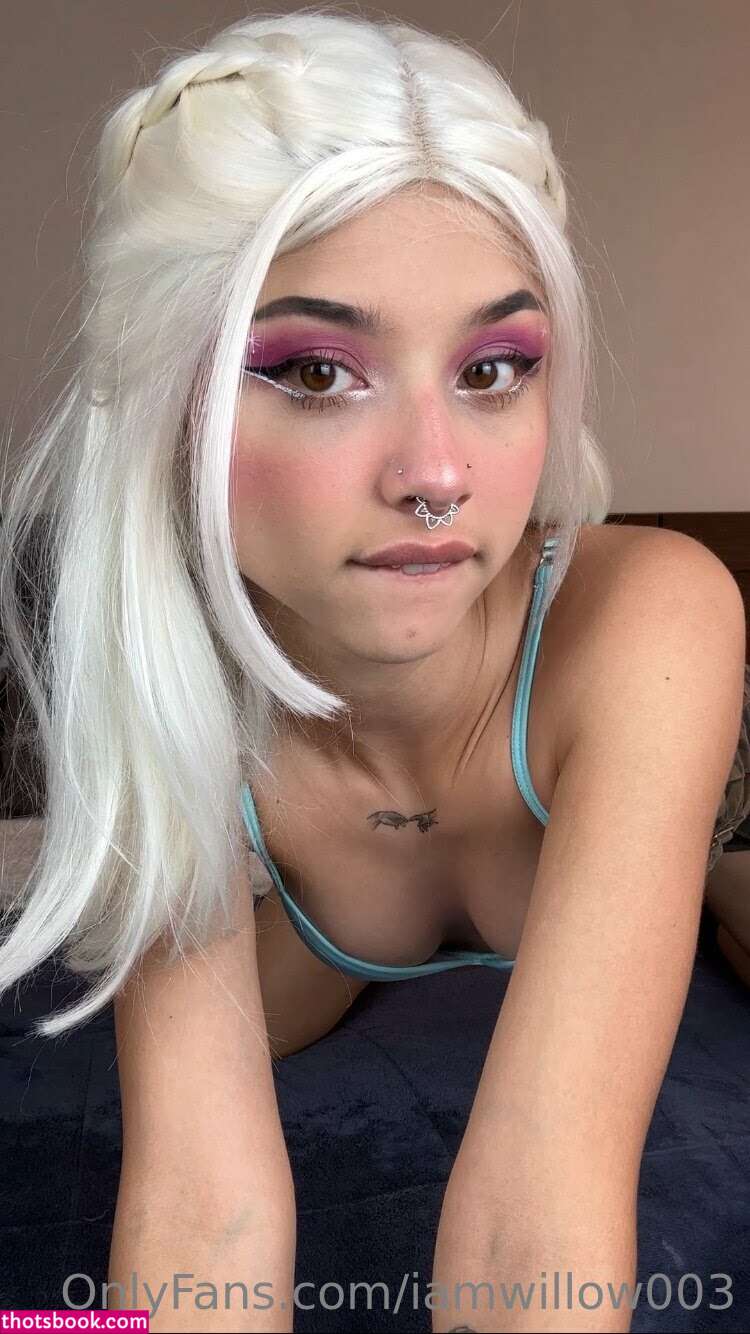 iamwillowstar iamwillow003 iamwillowstarr willowstar Nude Leaks OnlyFans Photos #3 1464695