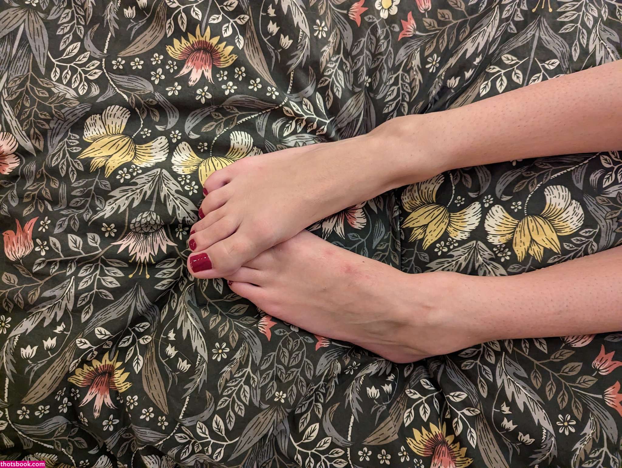 tanacake Nude Leaks OnlyFans Photos #3 1477291