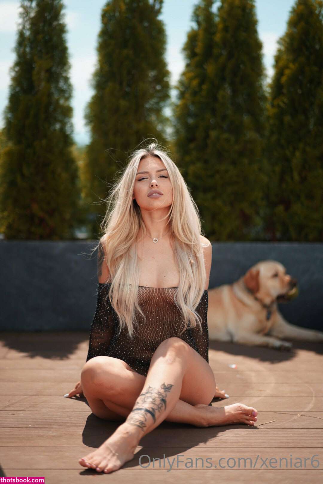 Xeniar6 Nude Leaks OnlyFans Photos #5 1506344