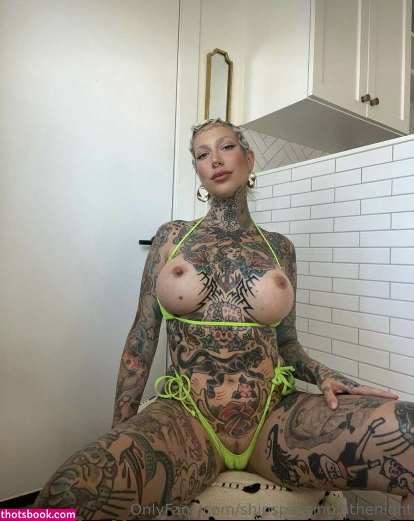 shipspassinginthenight Nude Leaks OnlyFans Photos #5 1458024