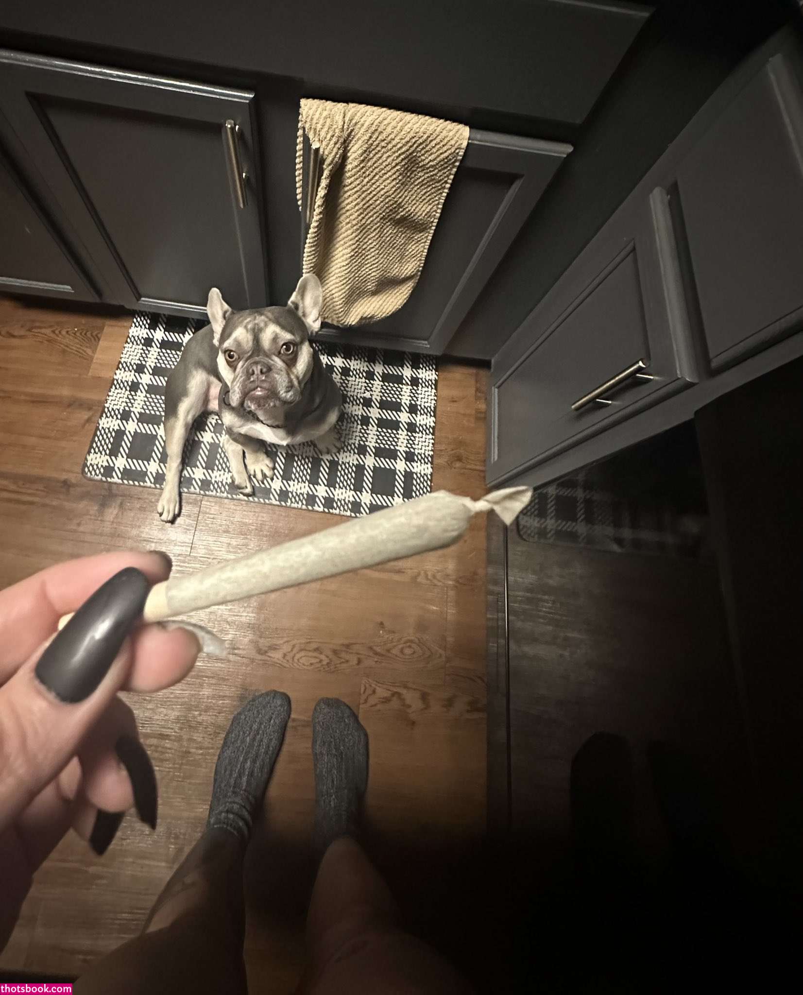 horrorwh0re whorrore notahorror megxcore Nude Leaks OnlyFans Photos #2 1453541