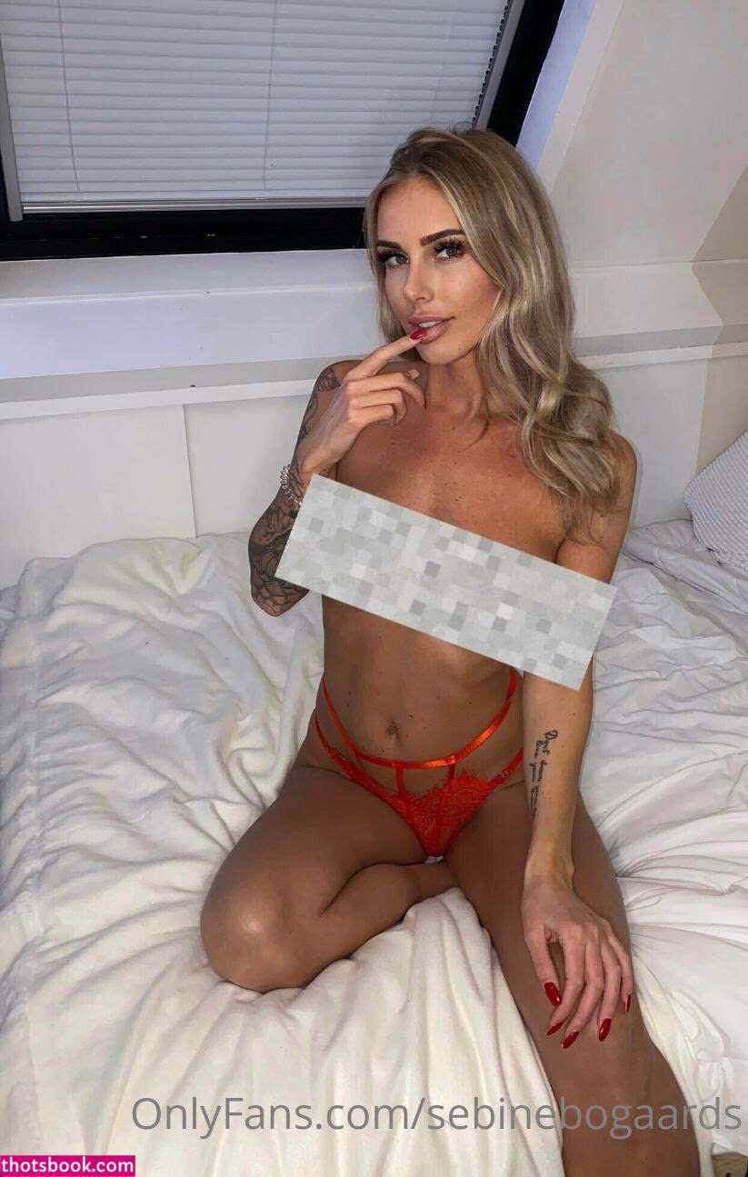 Sebine Bogaards sebinebogaards Nude Leaks OnlyFans Photos #3 1508033